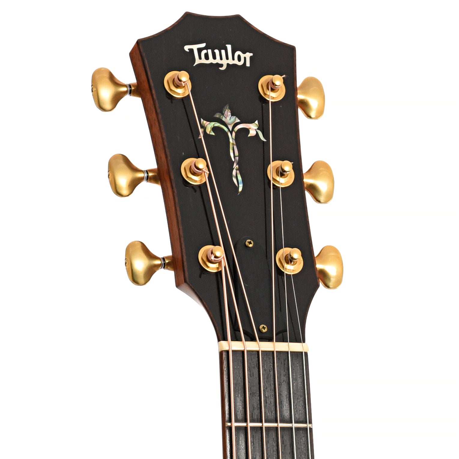 Front headstock of Taylor 916ce