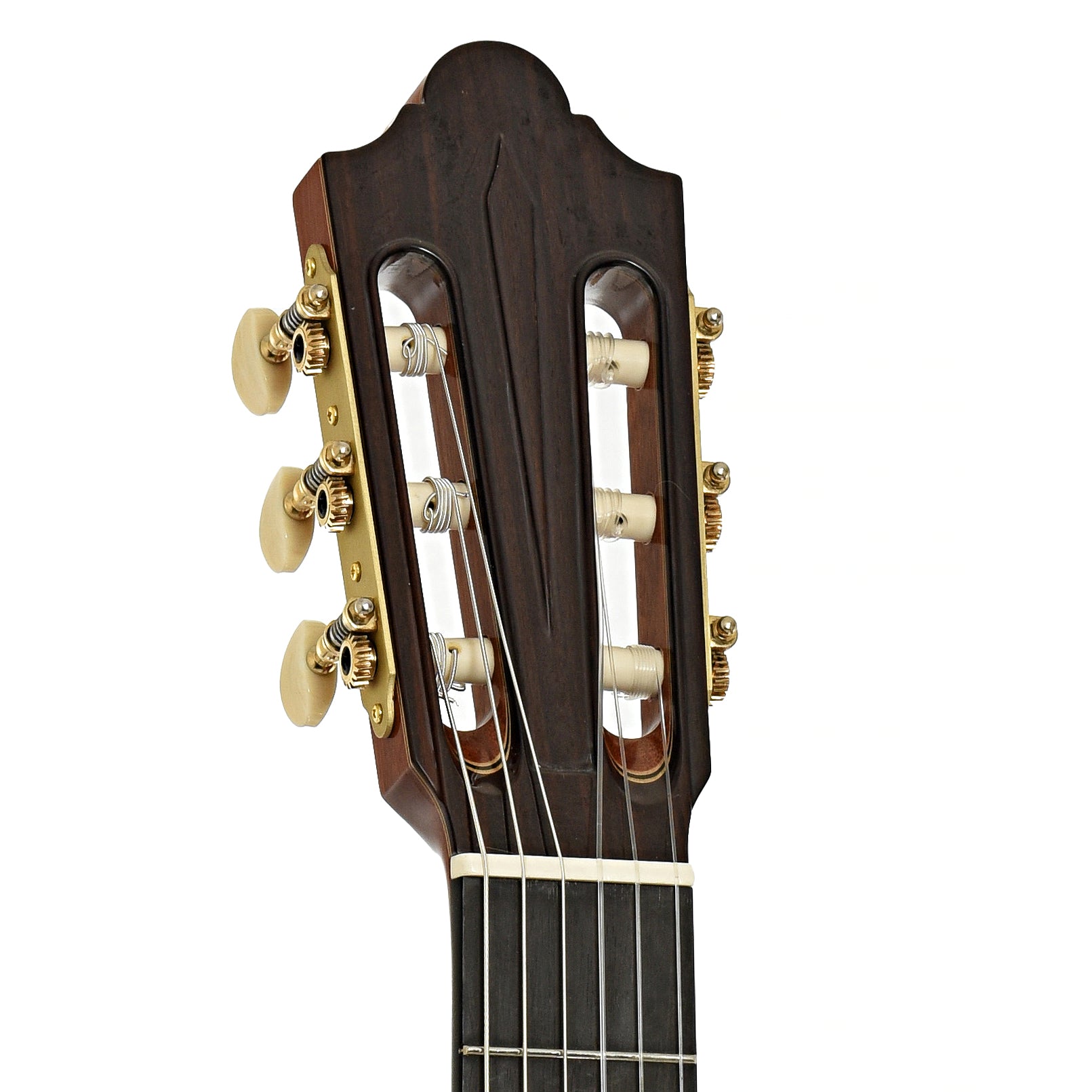 Headstock of Cordoba Friederich Classical Guitar