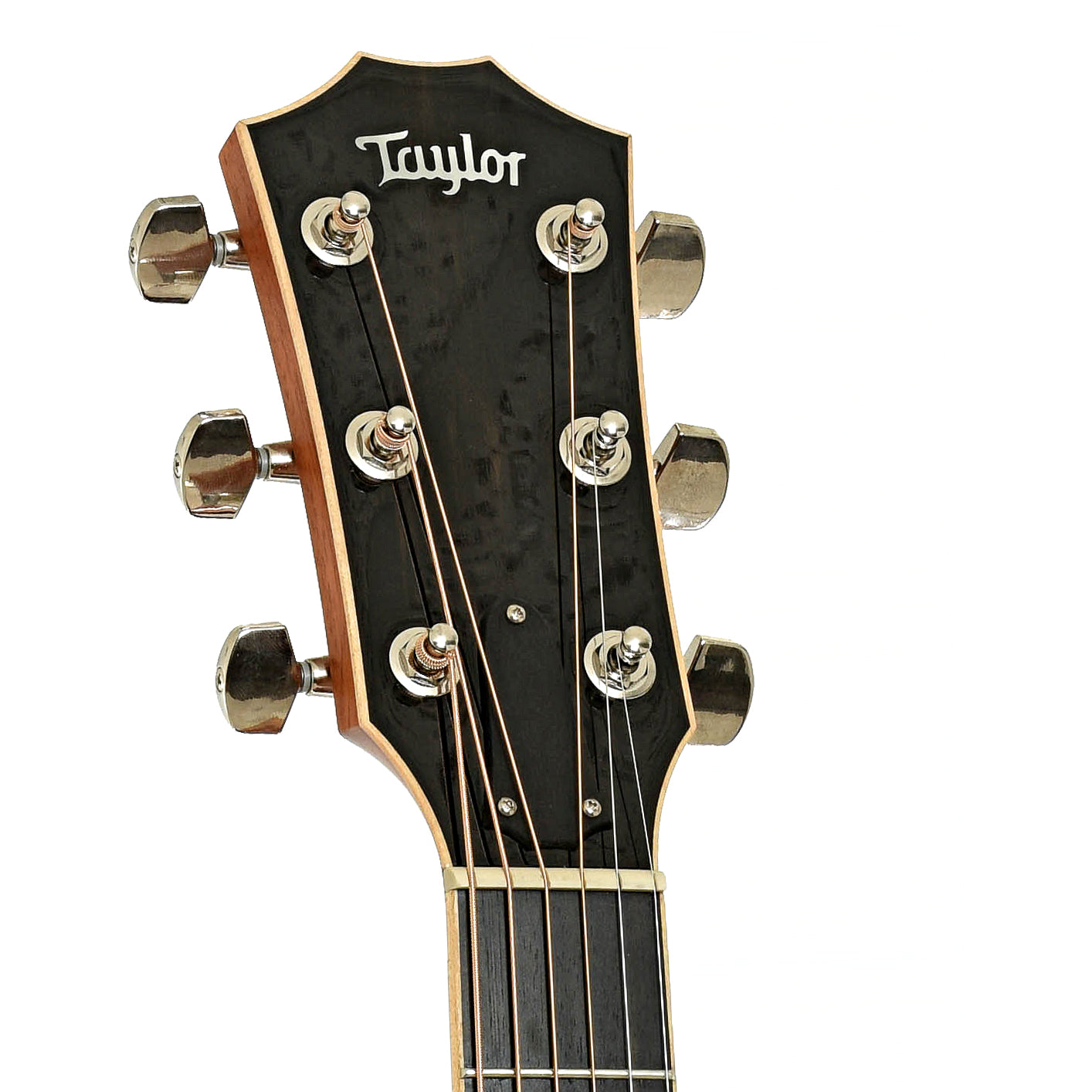 Headstock of Taylor 818e Grand Orchestra Acoustic-Electric Guitar