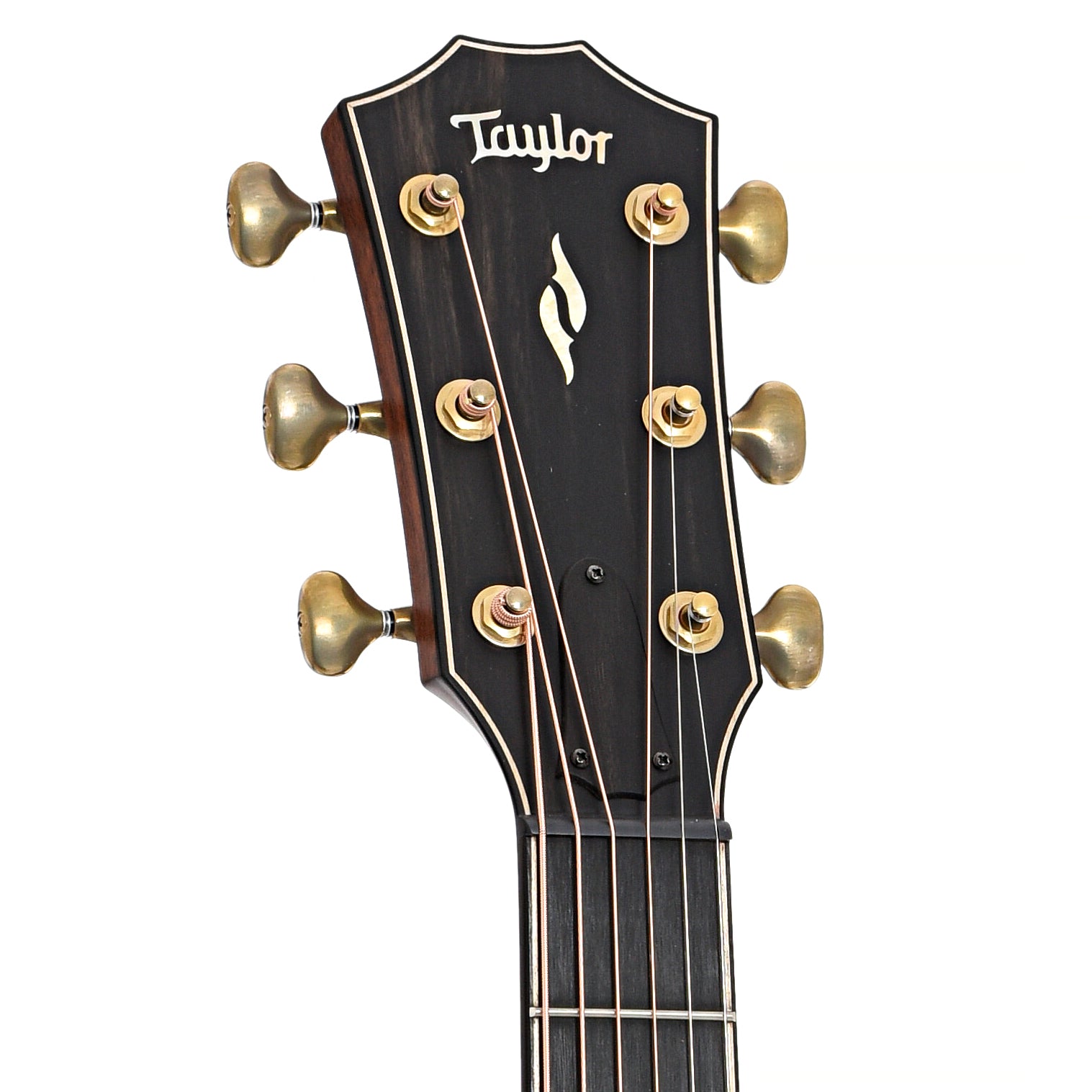 Front headstock of Taylor 50th Anniversary Builder's Edition 814ce LTD Acoustic Guitar 