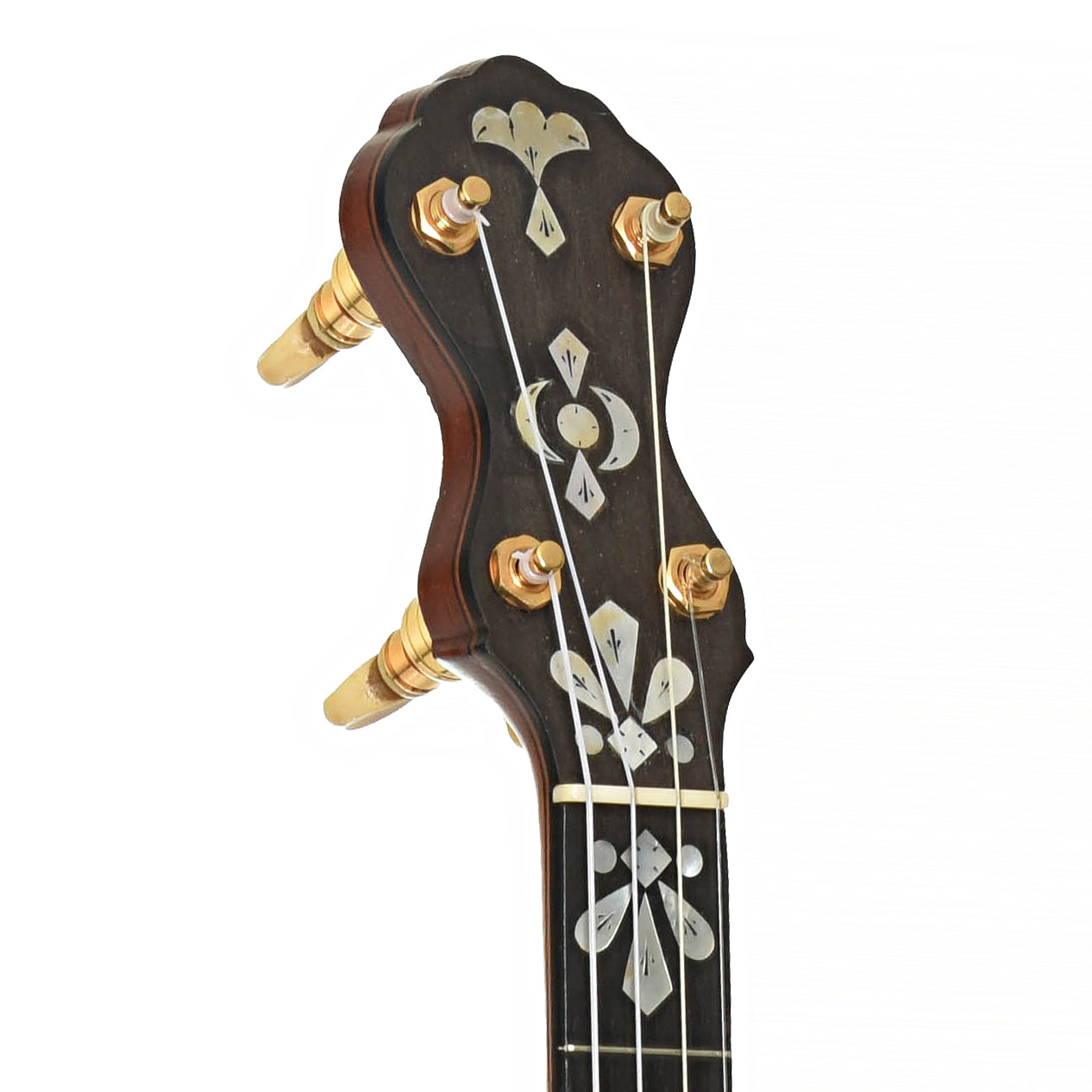 Headstock of A.C. Fairbanks Special Electric Openback Banjo