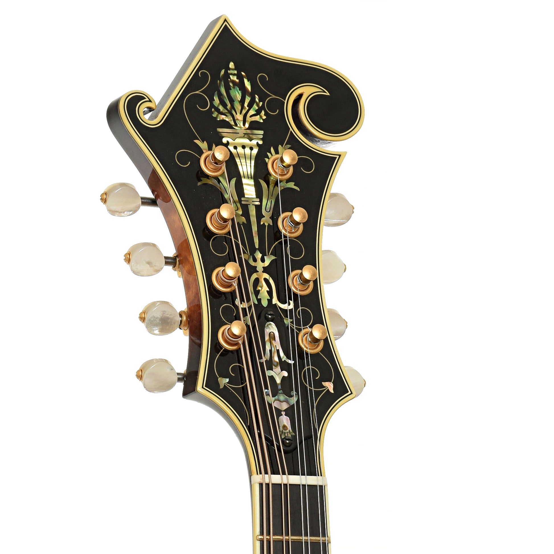 Headstock of Ellis F-5 Special