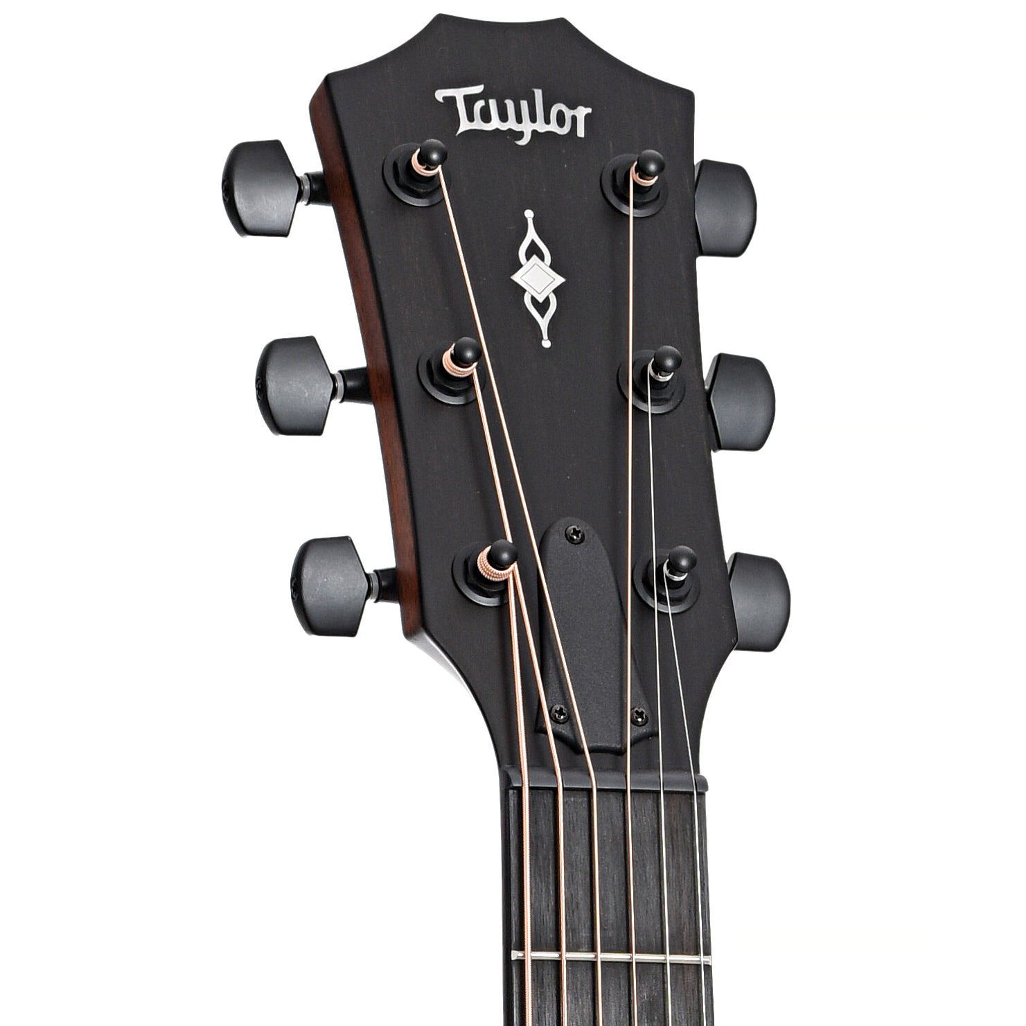 front headstock of Taylor 326ce Acoustic-Electric Guitar