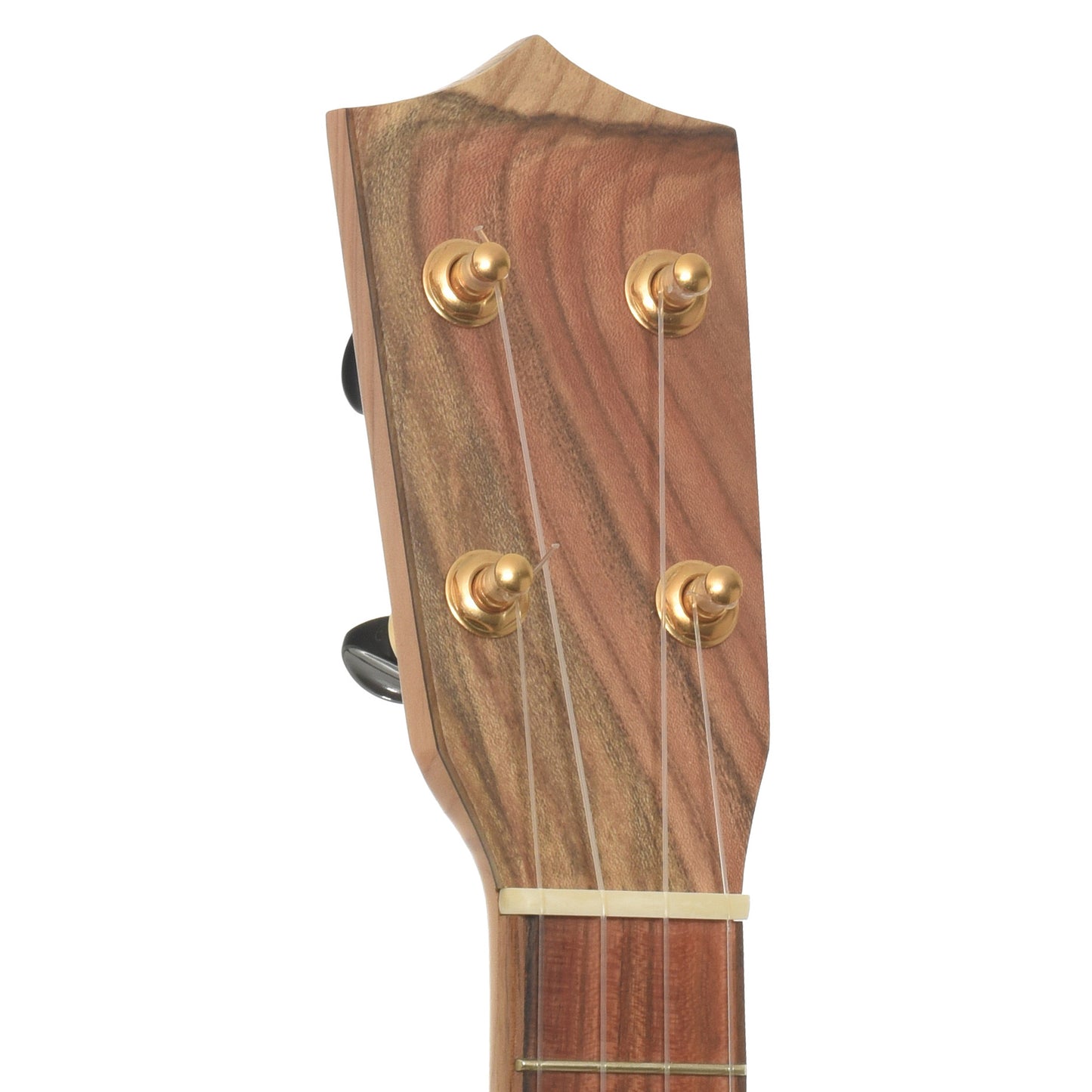 headstock of Bean Sprout Alto Ukulele