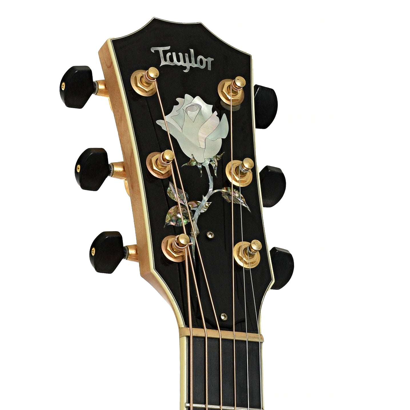 Headstock of Taylor DDSM Doyle Dykes Signature Model  Guitar