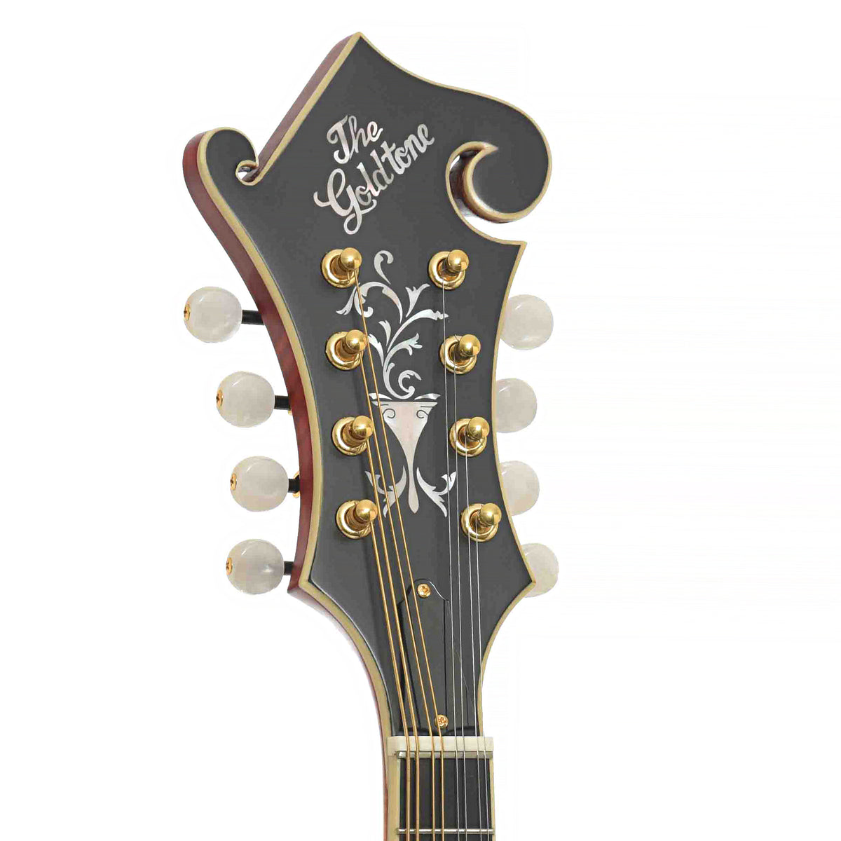 Front Headstock of Gold Tone Mastertone GM-80 F-Style Mandolin