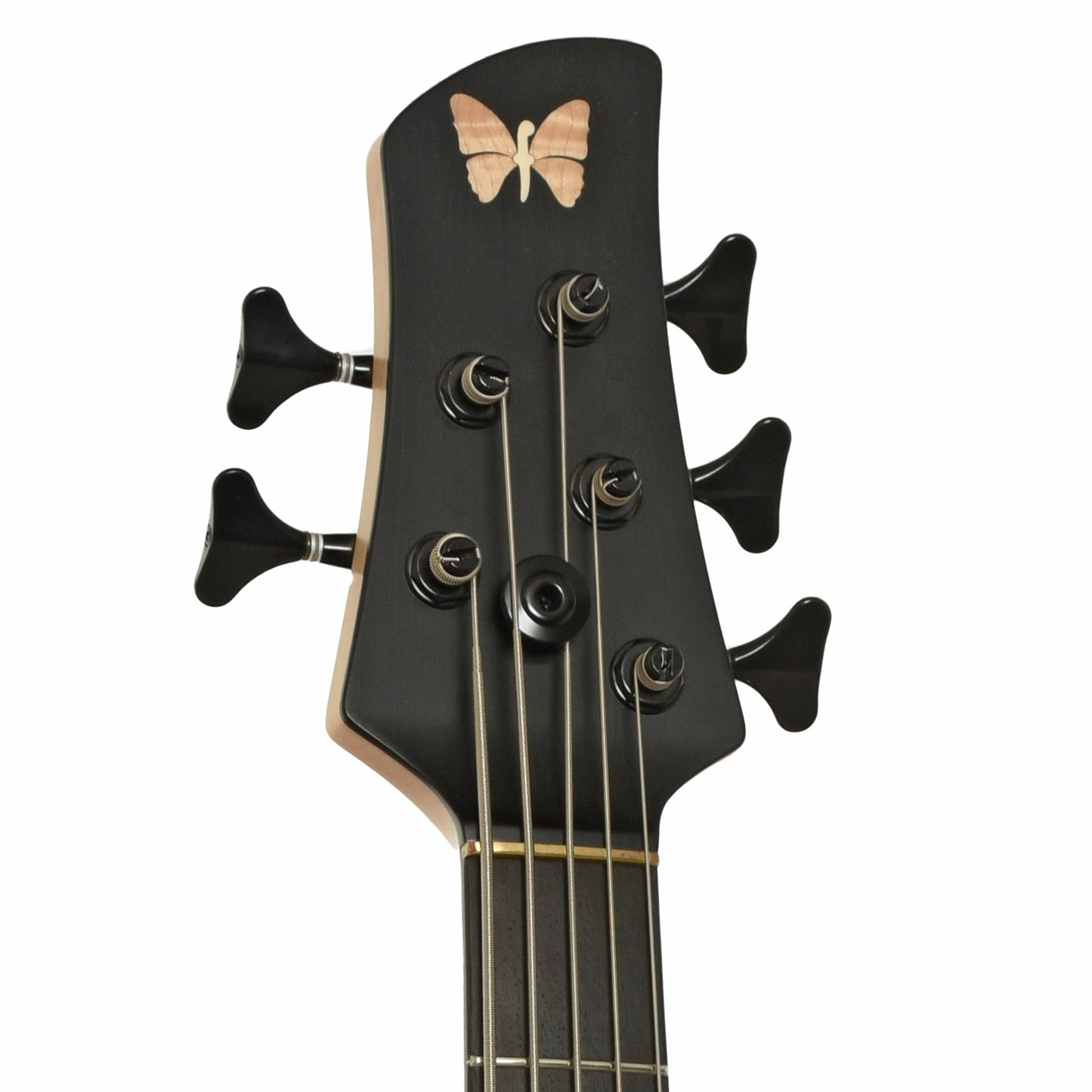 Headstock of Fodera Yin Yang Standard Blister Maple 5-String Electric Bass