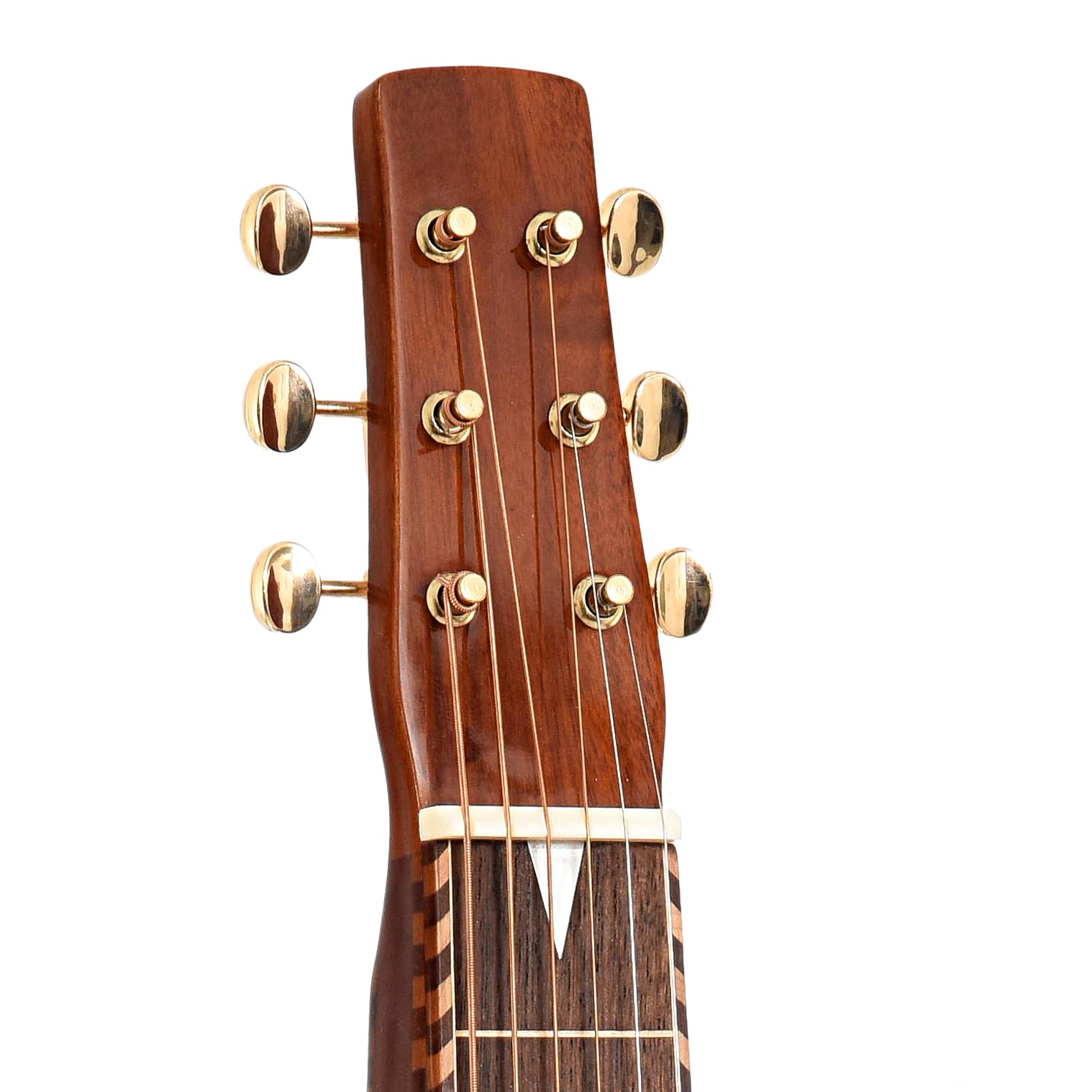 Headstock of Gold Tone SM Weissenborn Plus & Case, Shopworn