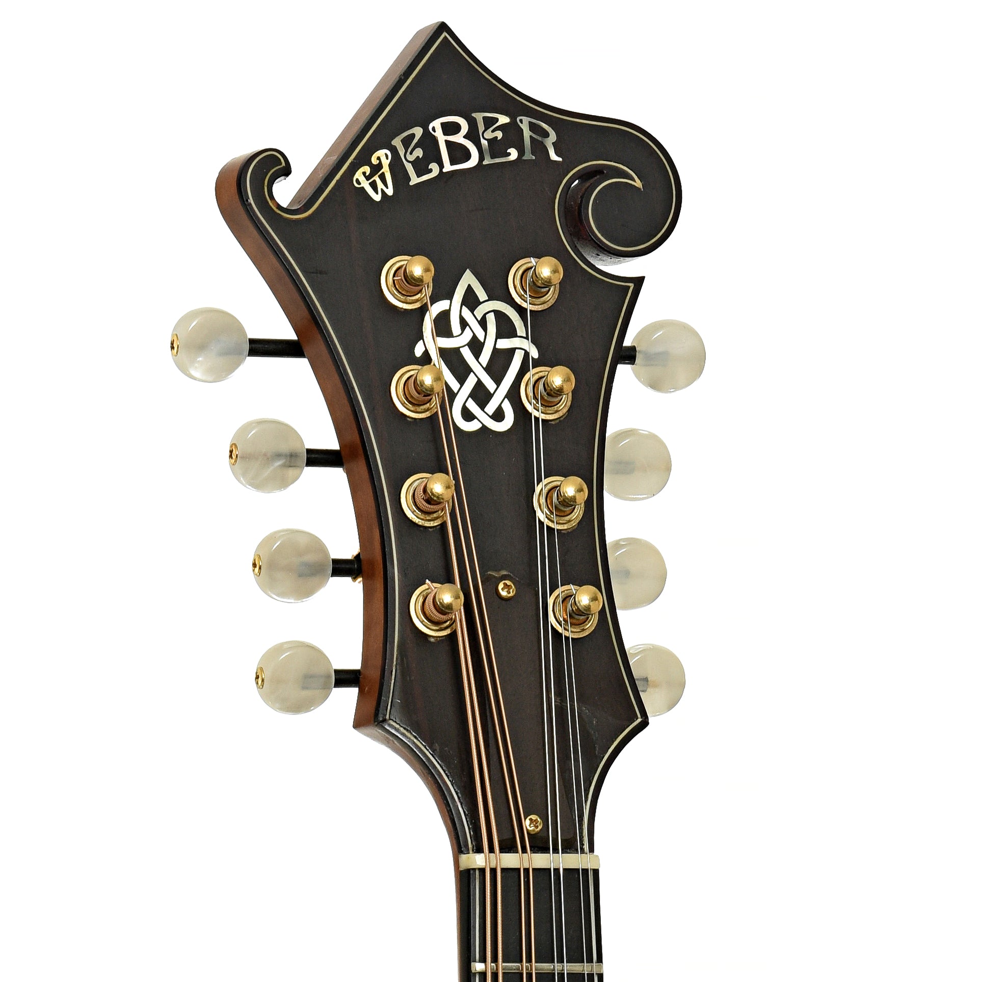 Headstock of Weber Beartooth A Style Mandolin 