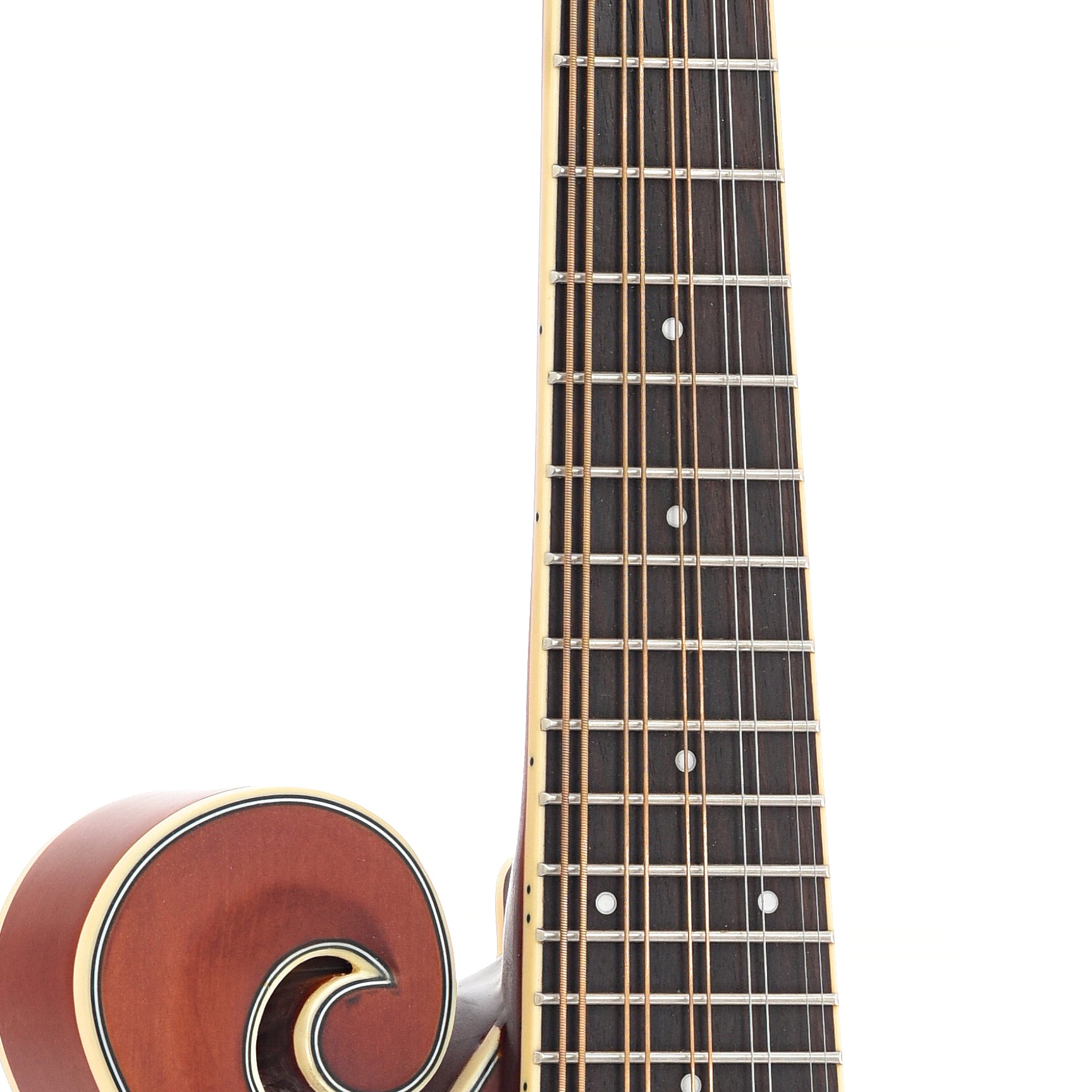 Fretboard of Gold Tone F-10 10-String Mandolin 