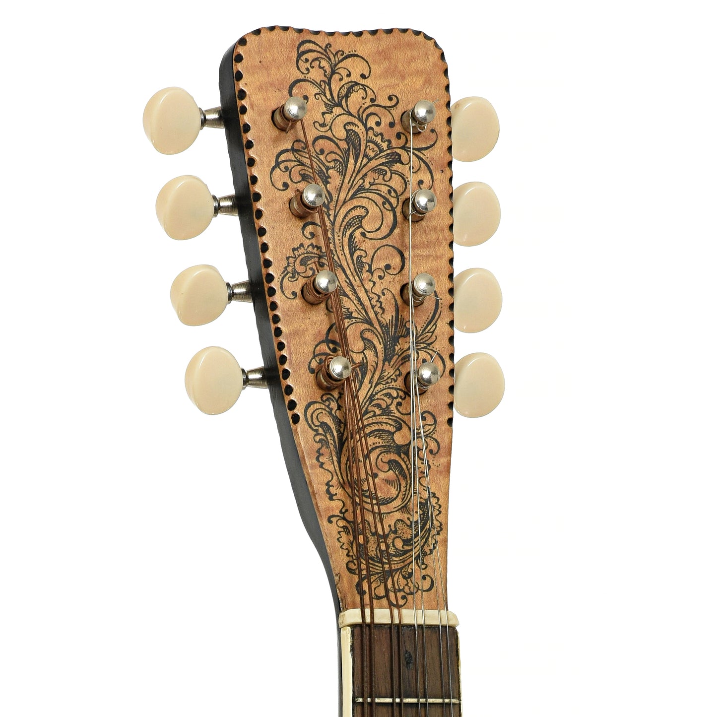 Headstock of Dobro D-260 Resonator Mandolin 