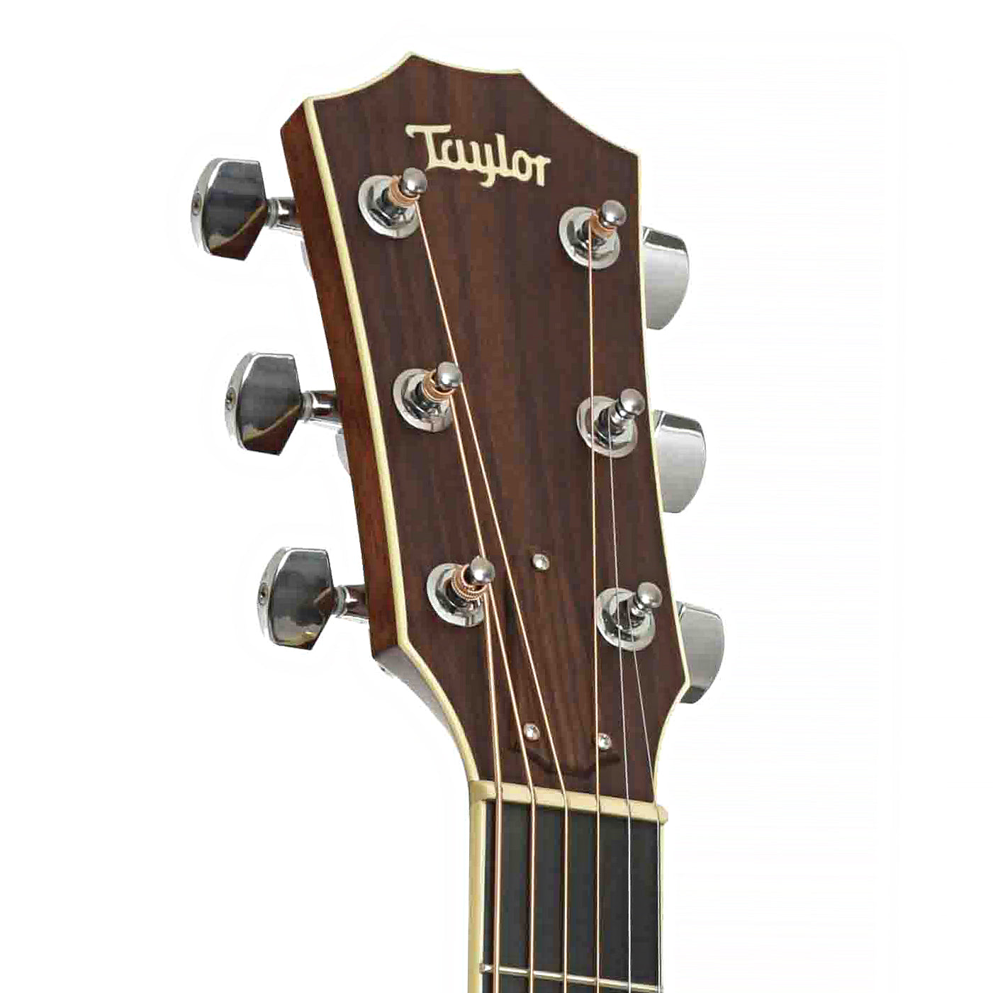 Front Headstock of Taylor DN7