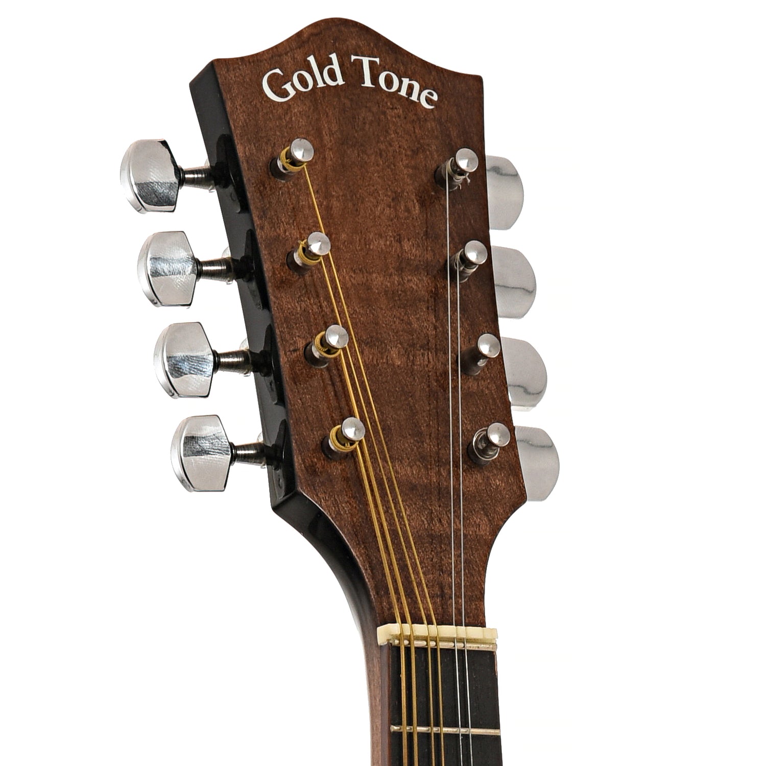 Front headstock of Gold Tone MB-850+ Banjo Mandolin 