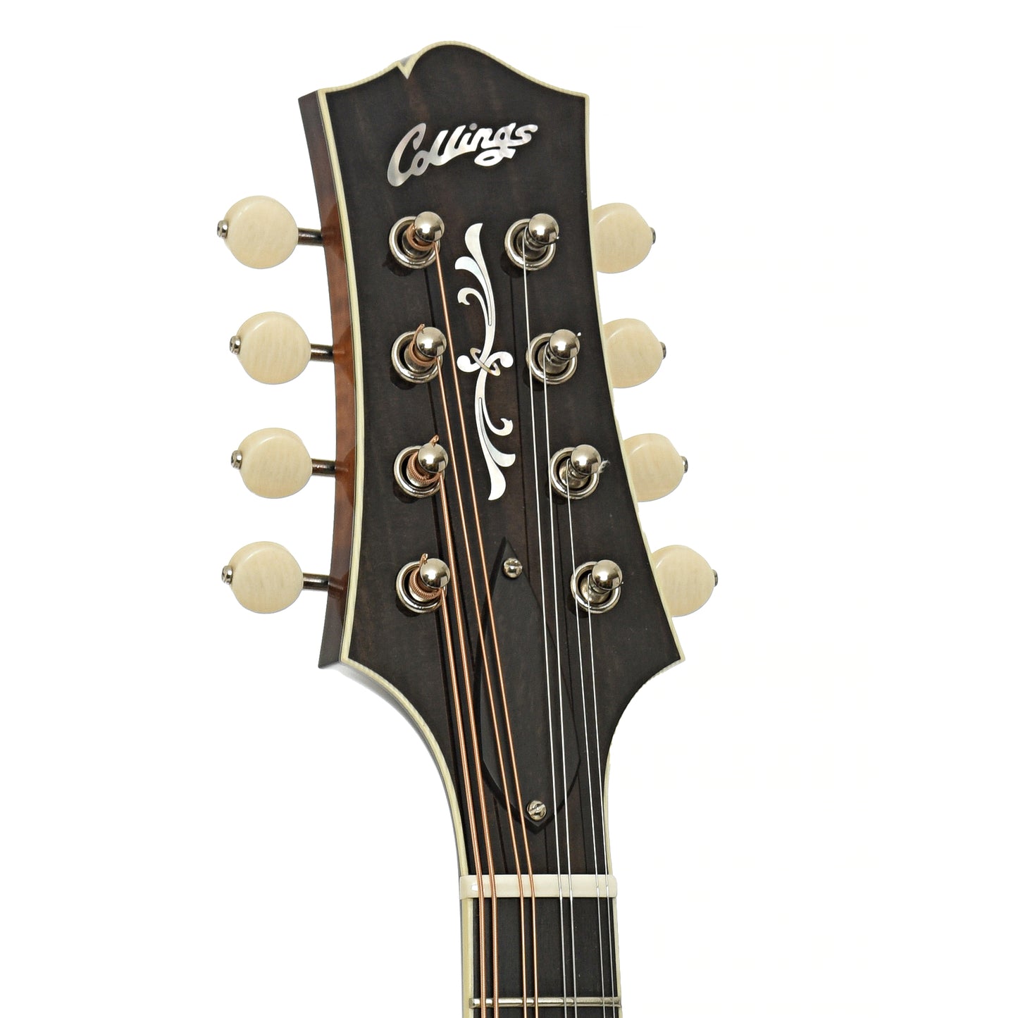 Headstock of Collings MT2 O A-Style Oval Hole Mandolin  
