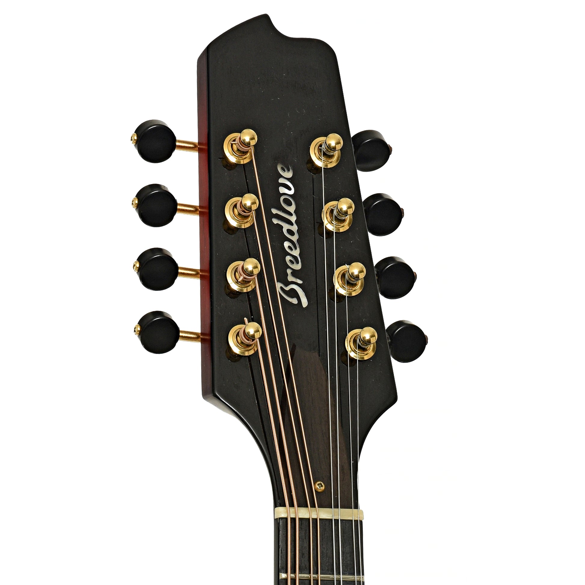 Headstock of Breedlove Legacy OO A-Style Mandolin