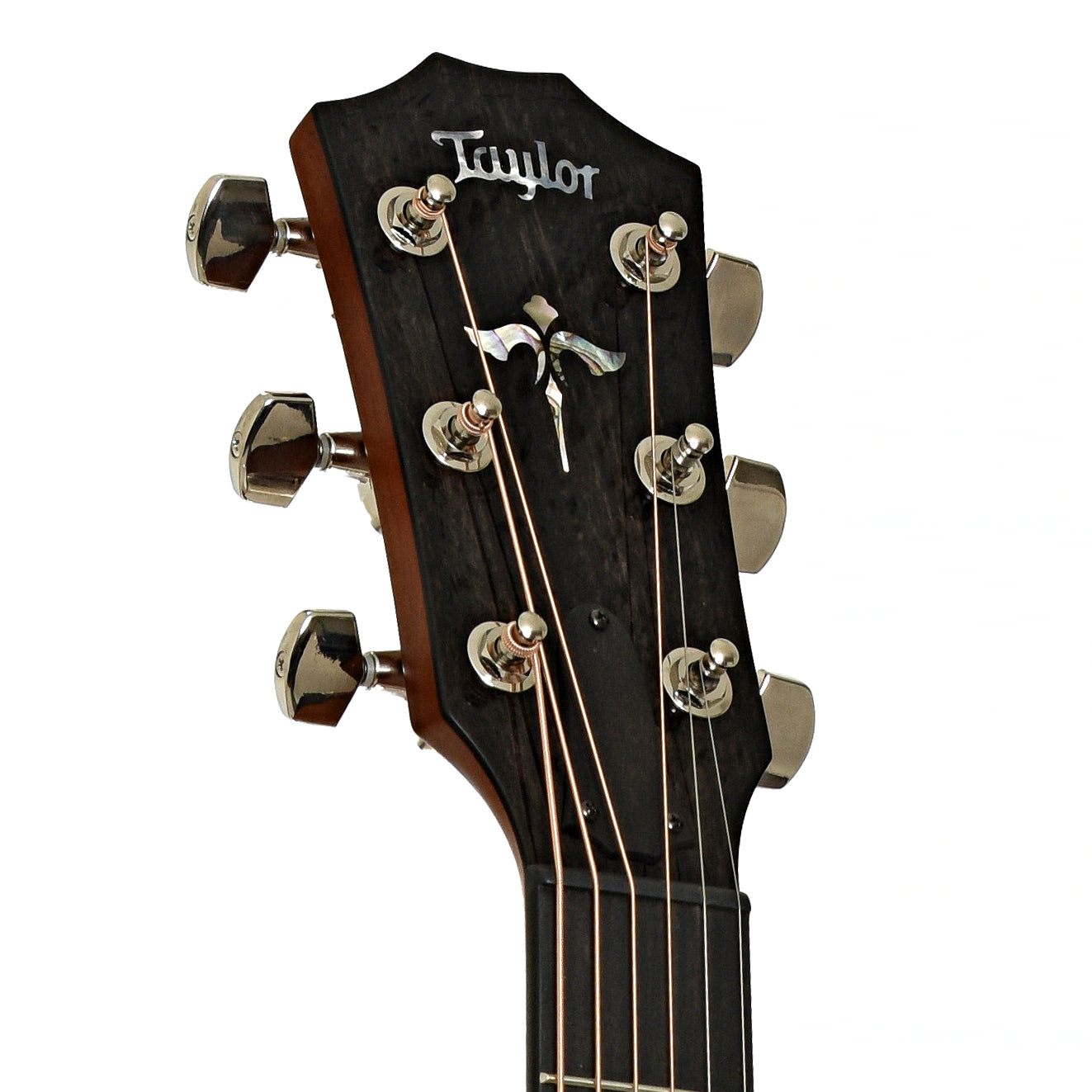 Headstock of Taylor Next Generation 614ce Acoustic-Electric Guitar  