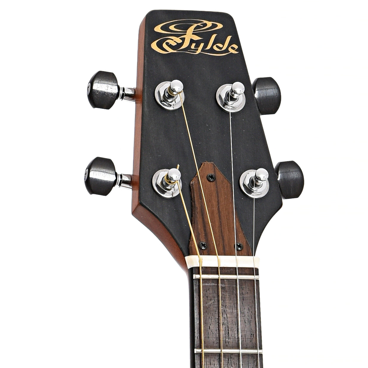Front headstock of Fylde Tenor Acoustic Guitar