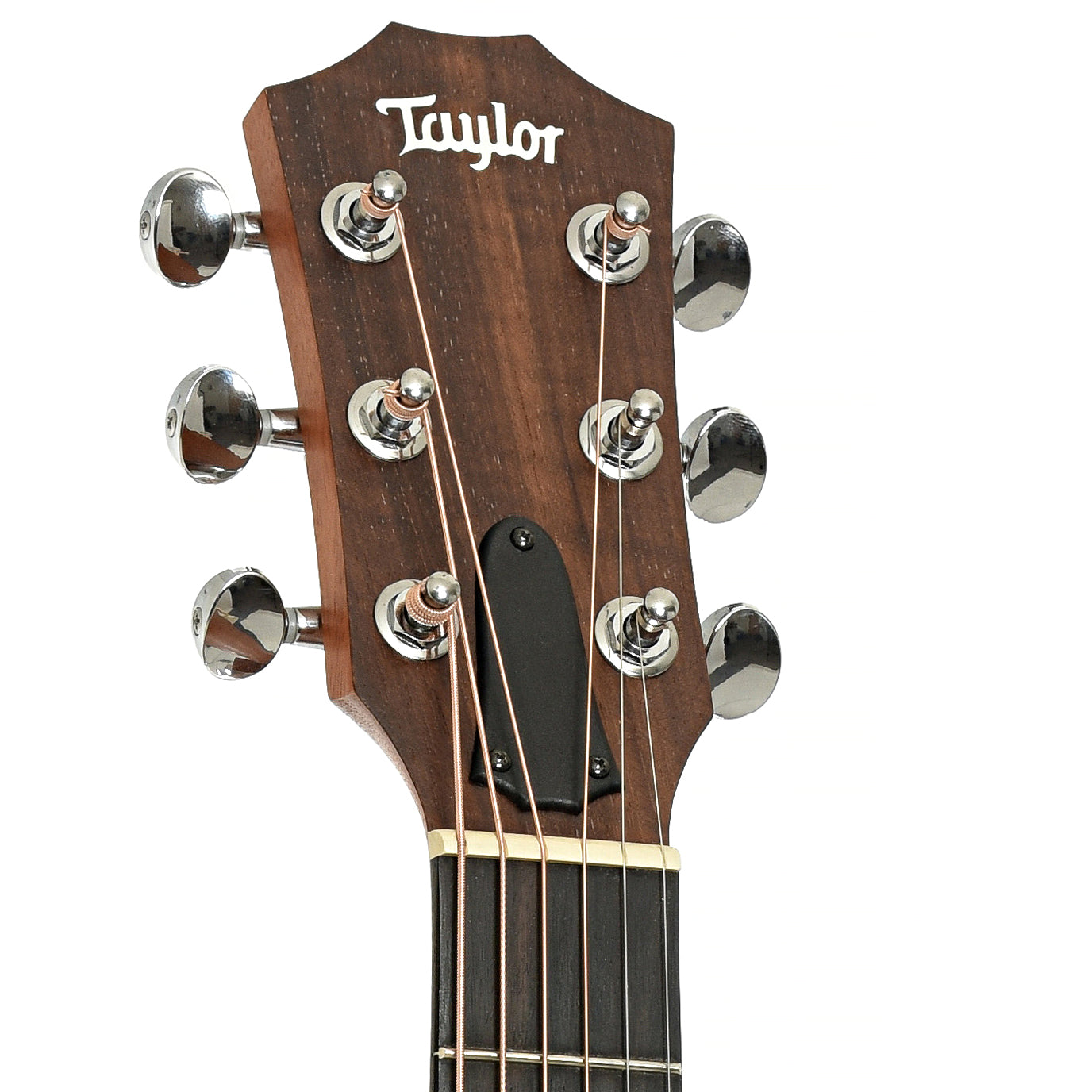 Headstock of Taylor GS Mini-e QS LTD Acoustic-Electric Guitar