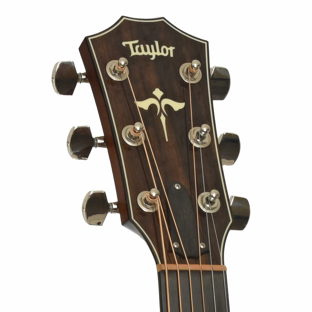 Hedstock of Taylor 618E Acoustic-Electric Guitar 