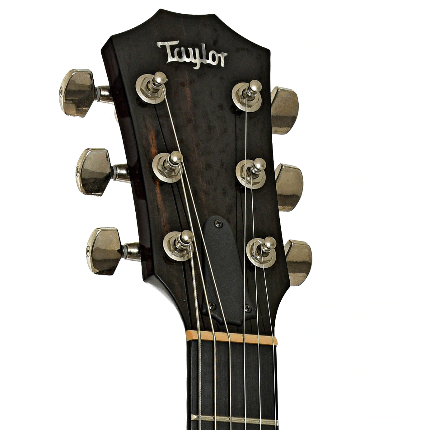 Headstock of Taylor T5z Classic DLX Acoustic-Electric Guitar