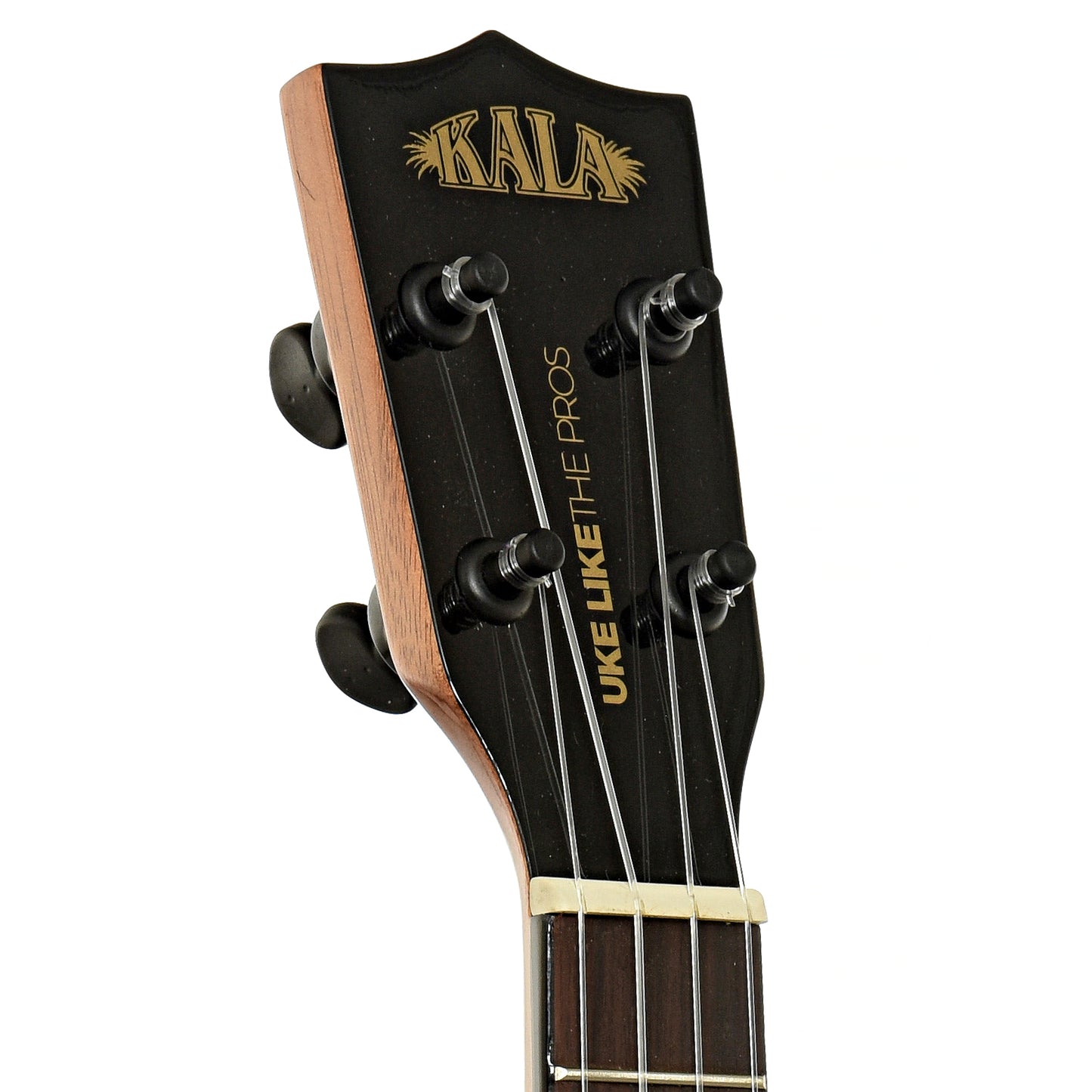 Headstock of Kala  ULTP-SSMHG-C Concert Ukulele