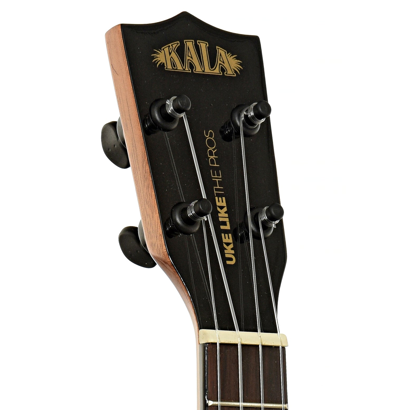 Headstock of Kala  ULTP-SSMHG-C Concert Ukulele
