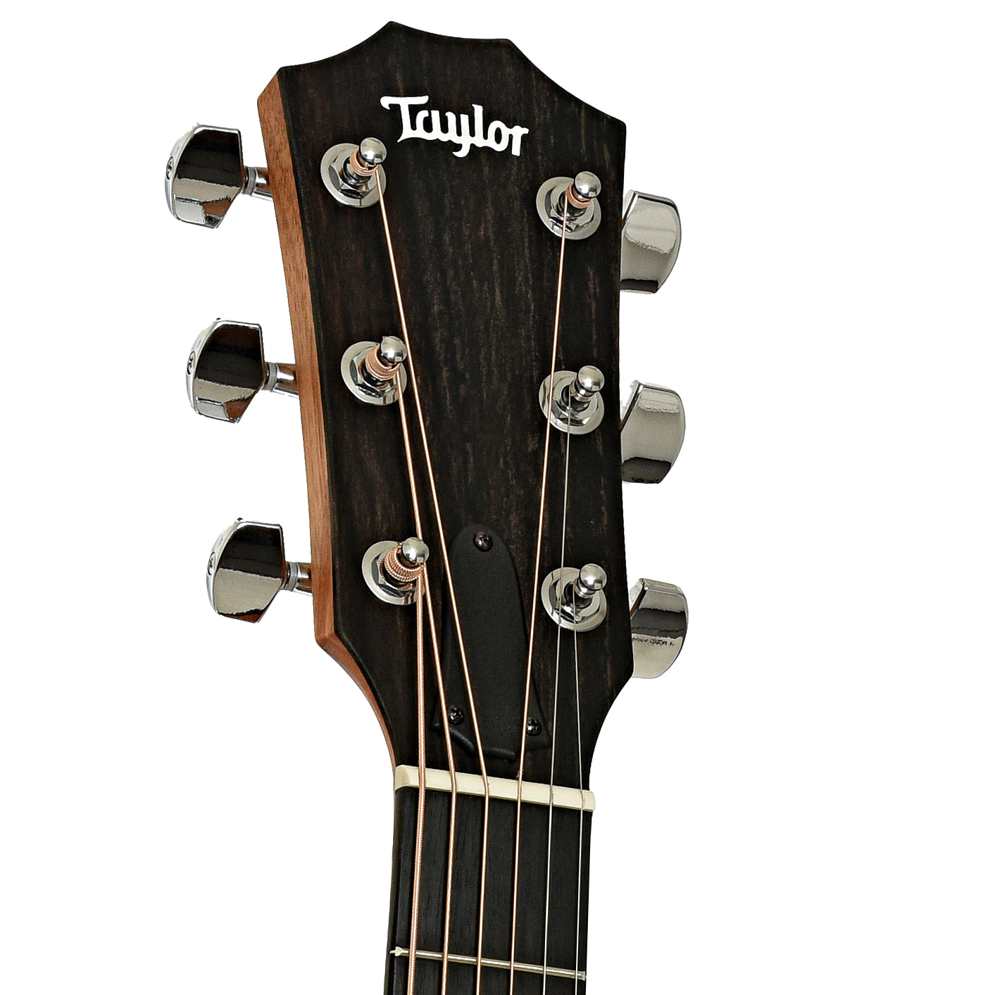 Headstock of Taylor 212ce Acoustic-Electric Guitar