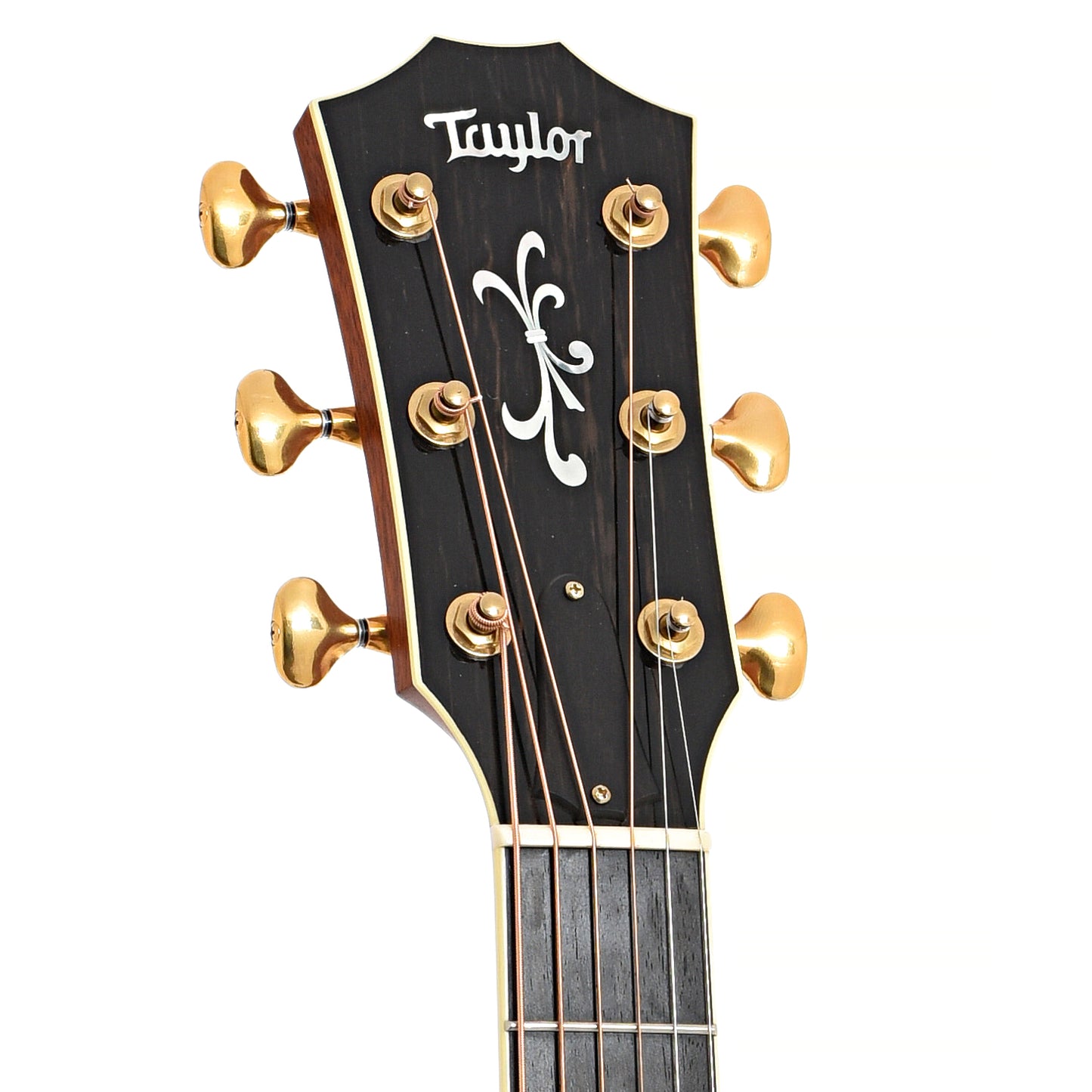 Front headstock of Taylor 916ce Grand Symphony (2009)