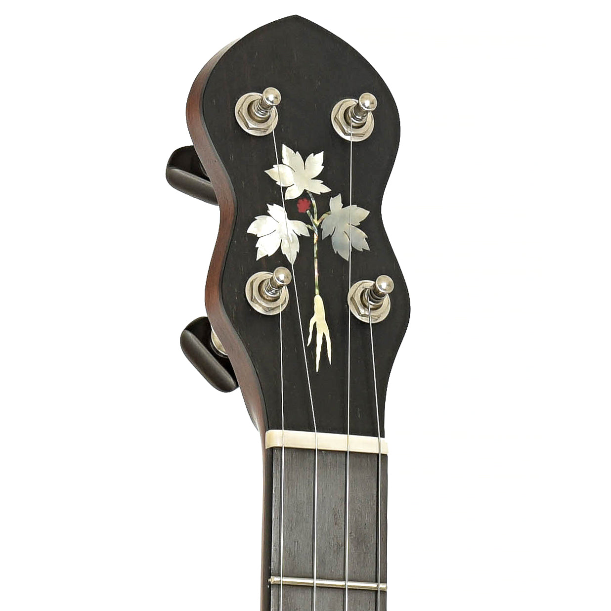 Headstock of Cedar Mountain A2 Appalachia Banjo LH