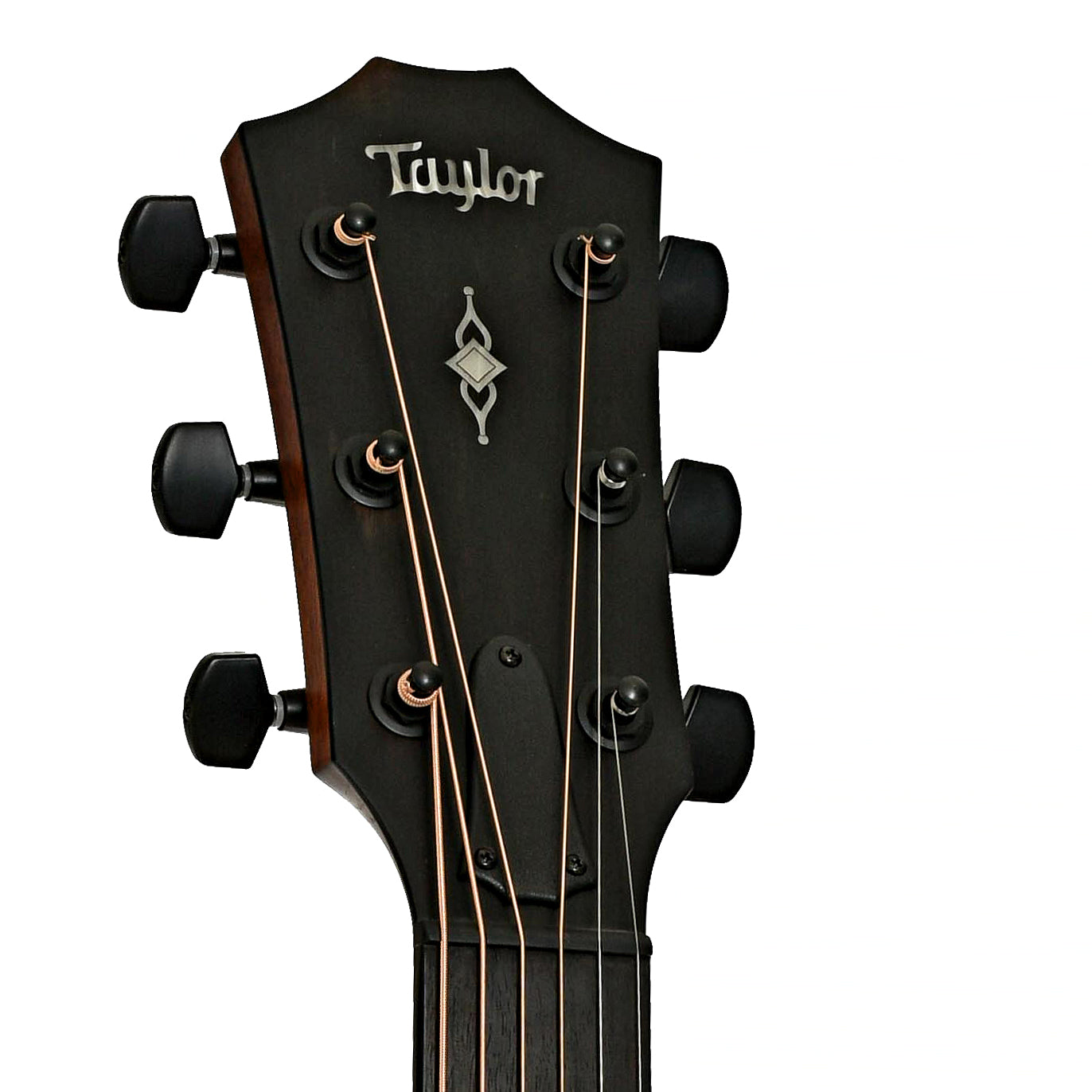 Headstock of Taylor 322CE