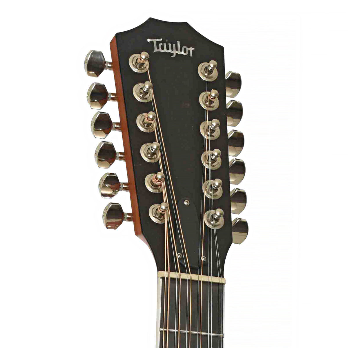 Front Headstock of Taylor 456CE