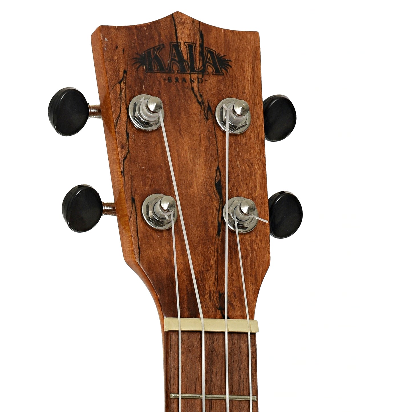 Headstock of Kala KA-FMTG Tenor Ukulele 