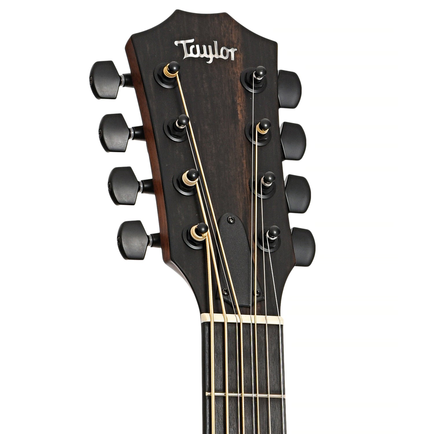 Front headstock of Taylor 326ce Baritone 8-String Special Edition Acoustic
