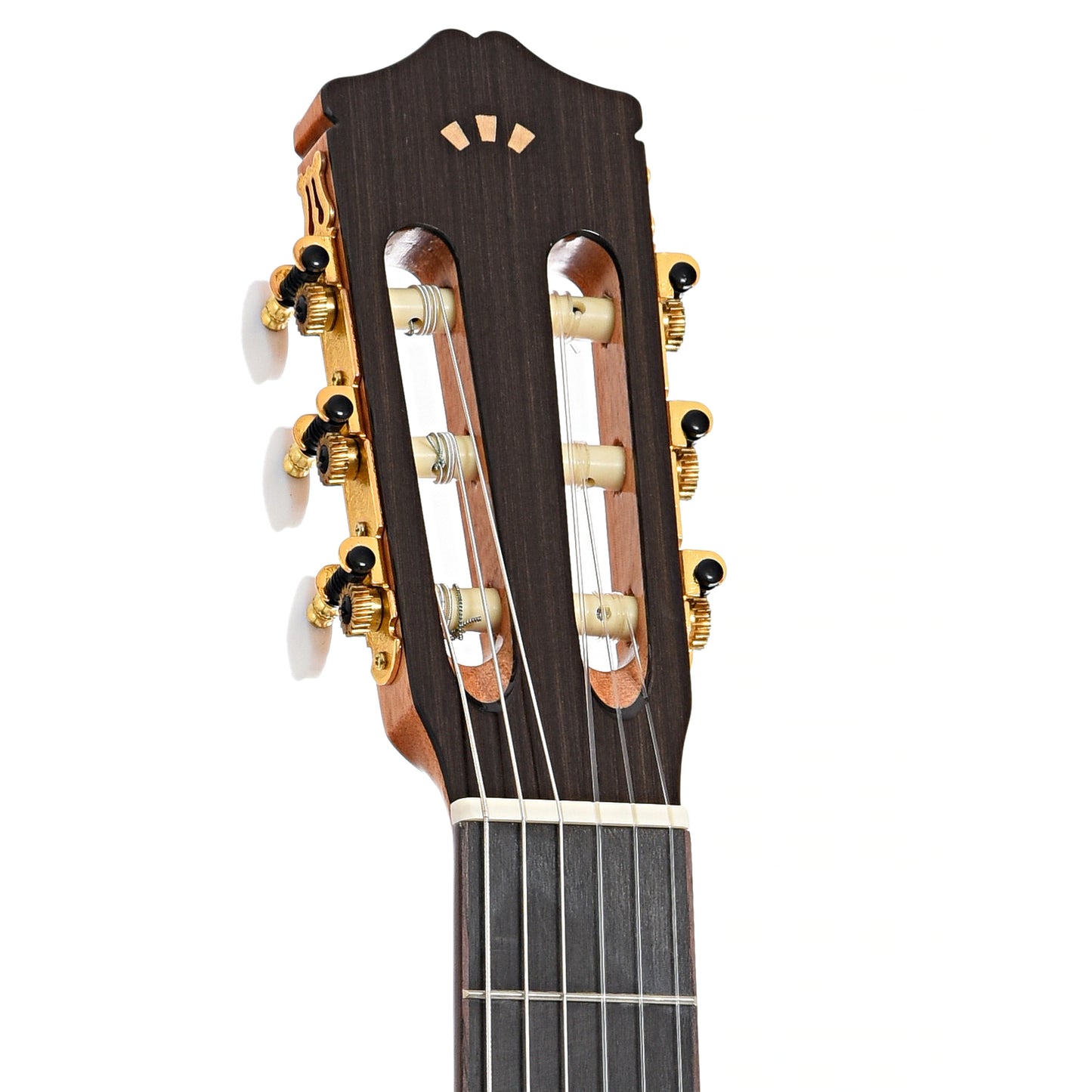 Front headstock of Cordoba C5 Spruce Top Classical Guitar