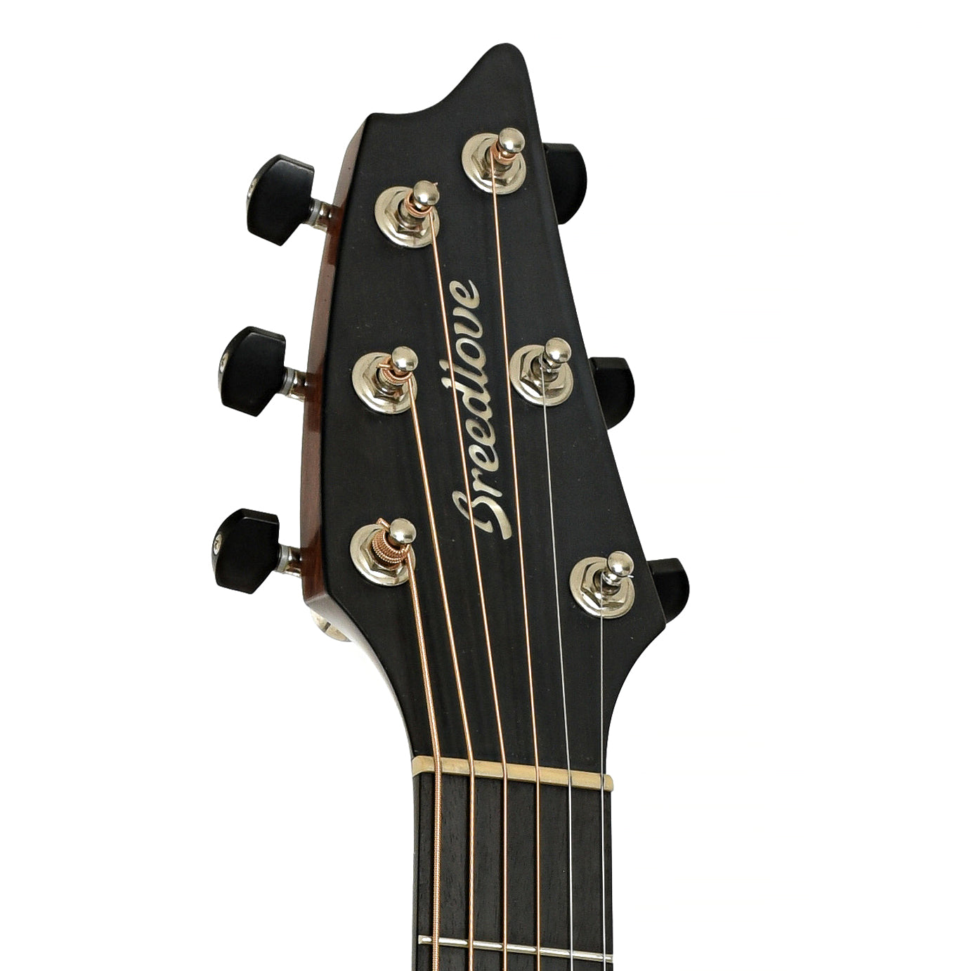 Headstock of Breedlove Premier Concert Acoustic-Electric Guitar         