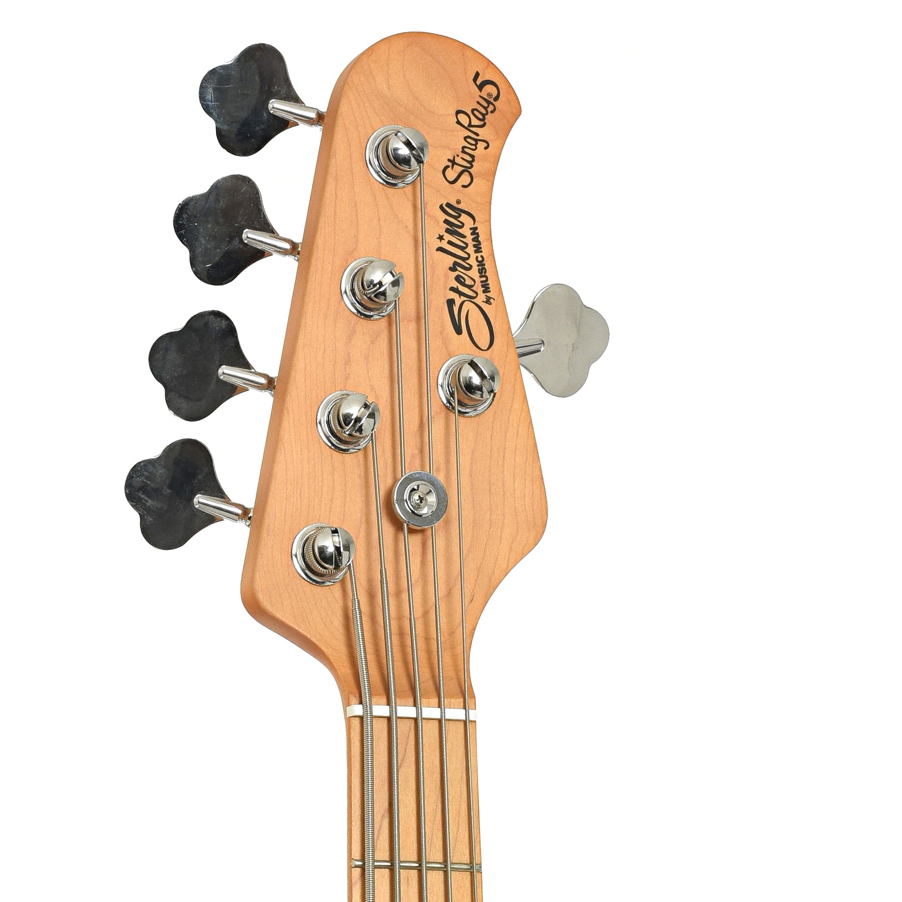 Headstock of Sterling by Music Man 5-String Electric Bass