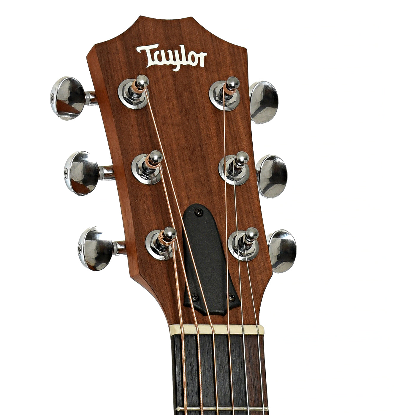 Headstock of Taylor GS Mini Mahogany Acoustic Guitar 