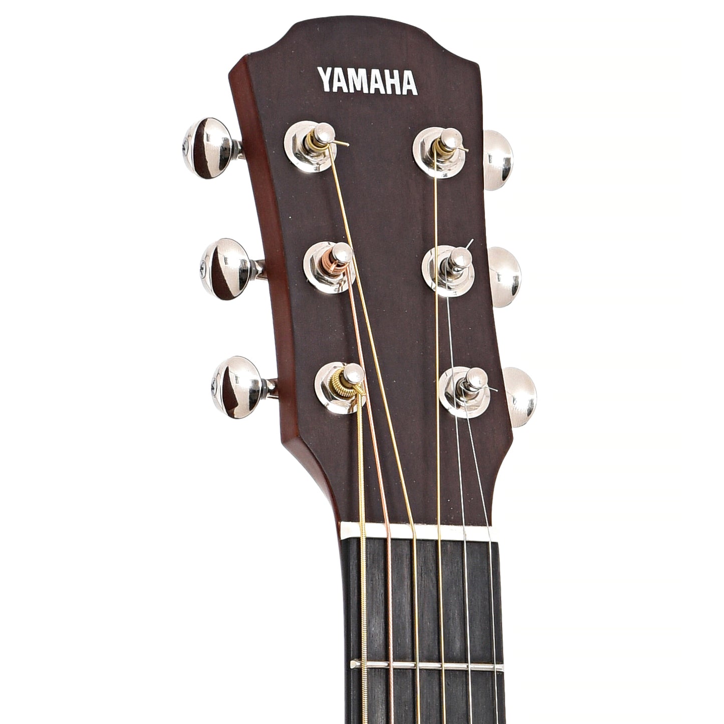 Front headstock of Yamaha CSF1M Parlor Acoustic Guitar (c.2022)