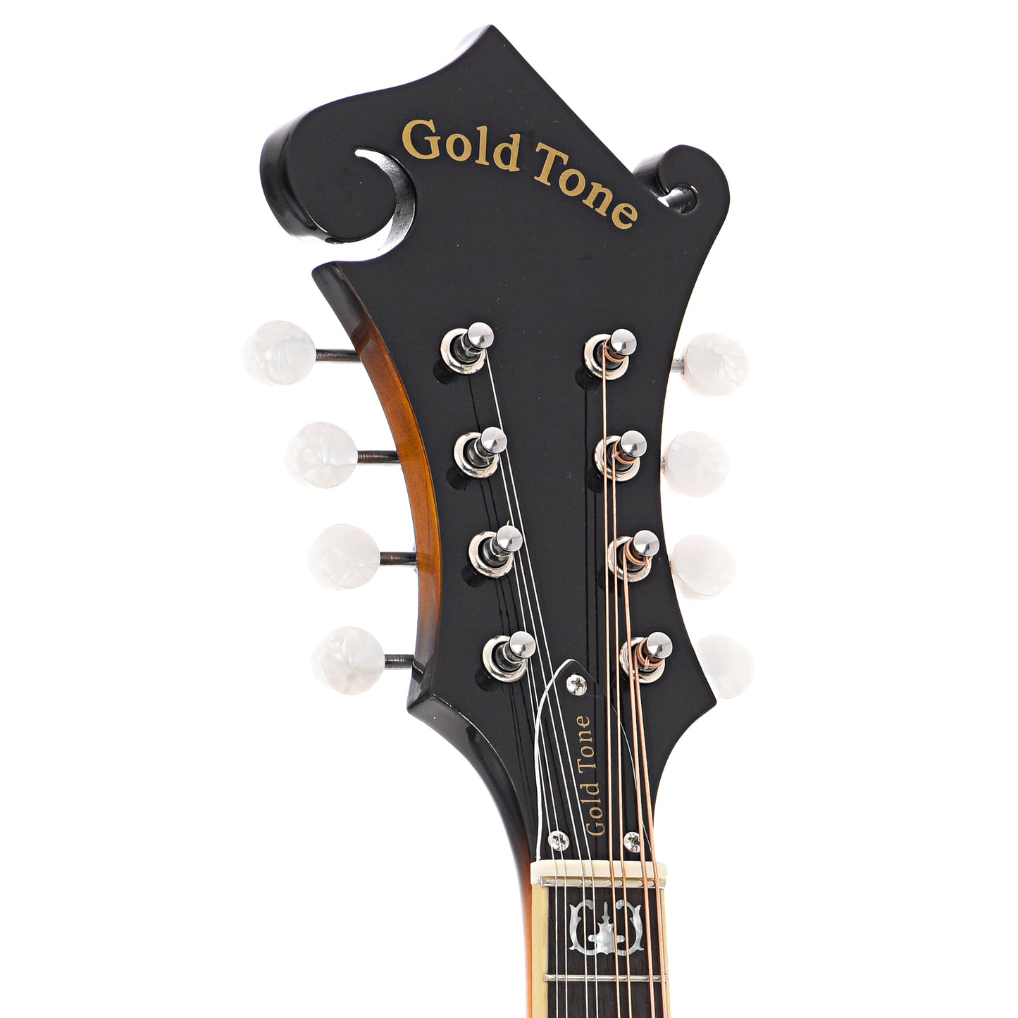 Front headstock of Gold Tone GM-35/L Lefthanded F-Model Mandolin
