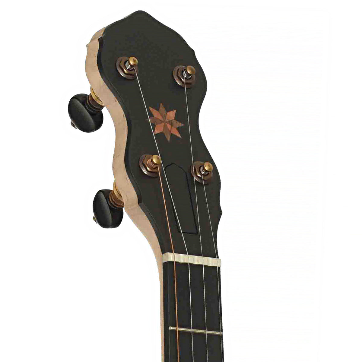 Pisgah Laydie 12in Short Scale Openback Banjo & Gigbag
