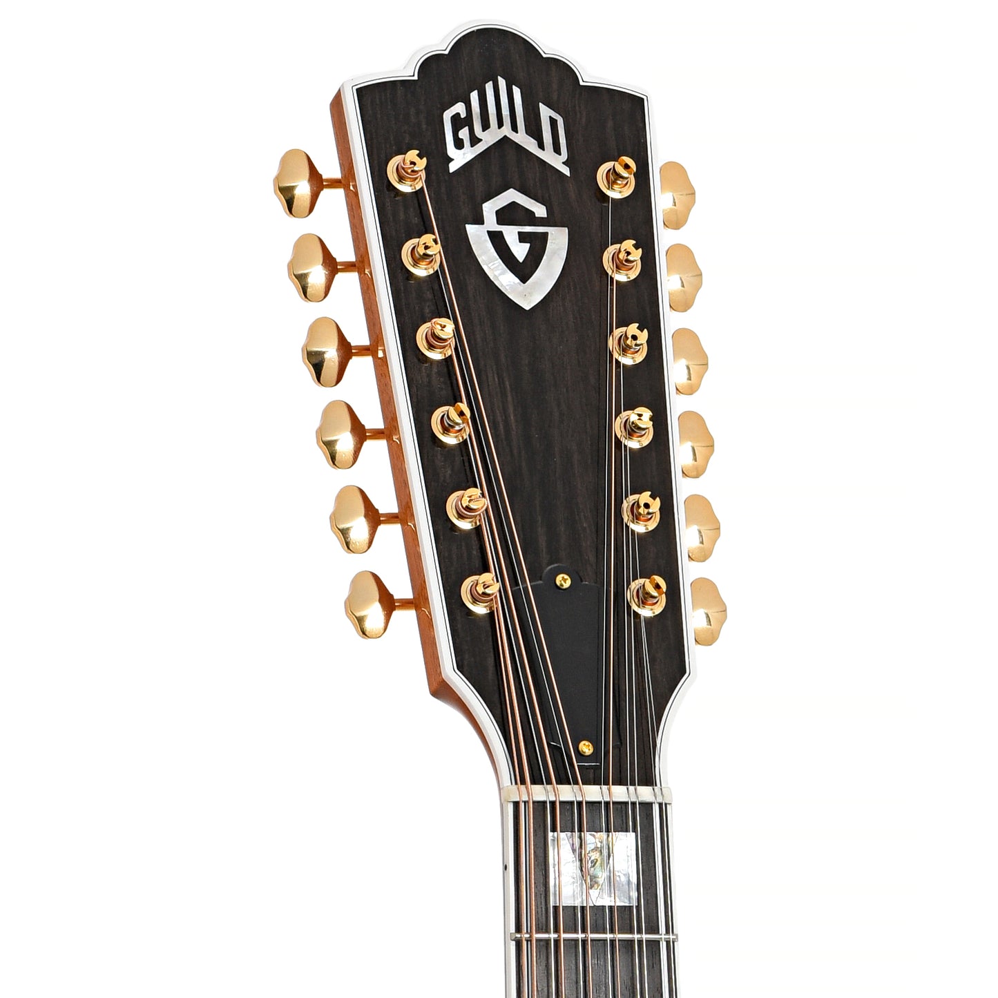 Front headstock of Guild USA F-512E Maple 12-String Acoustic Guitar 