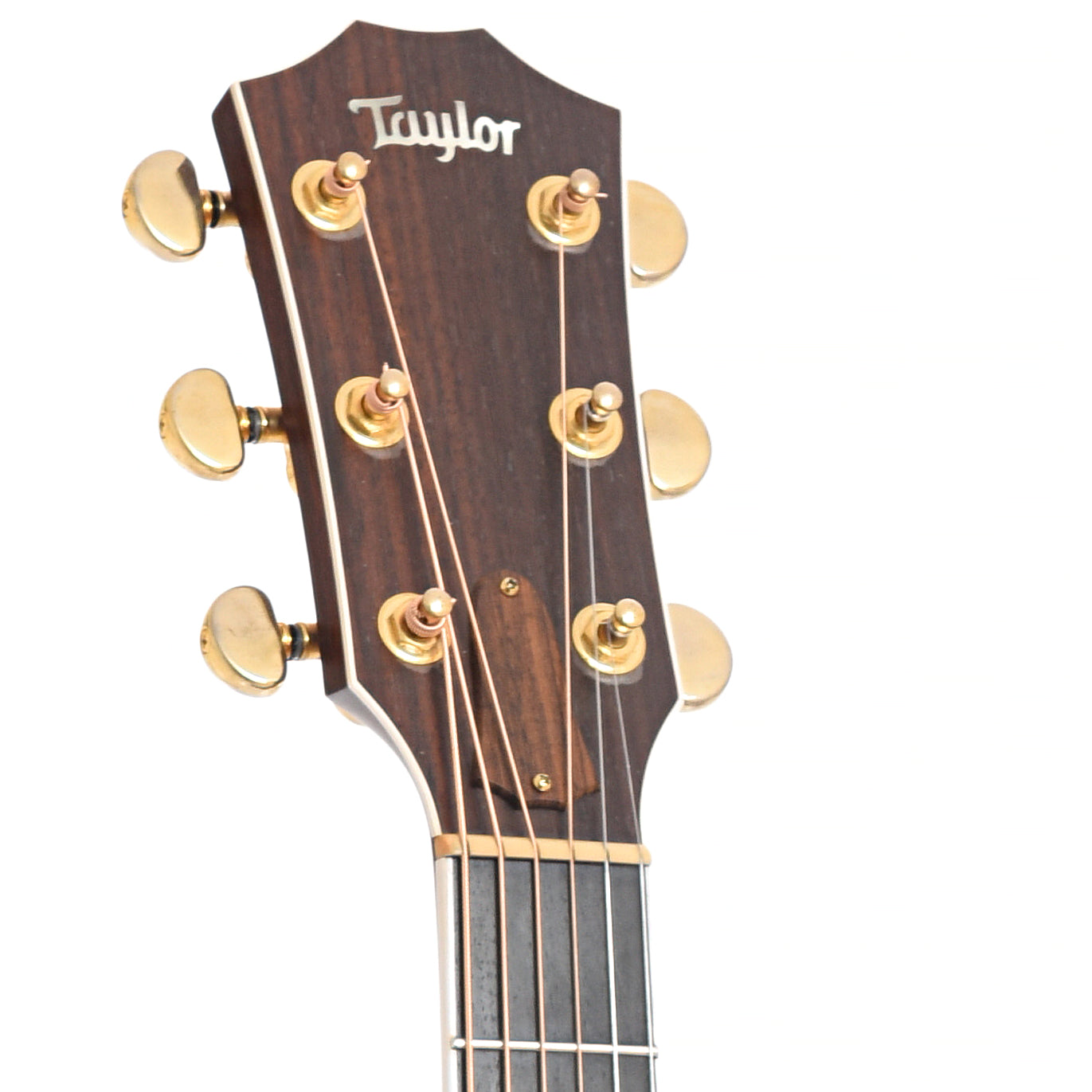 Headstock of Taylor  810 Acoustic Guitar 