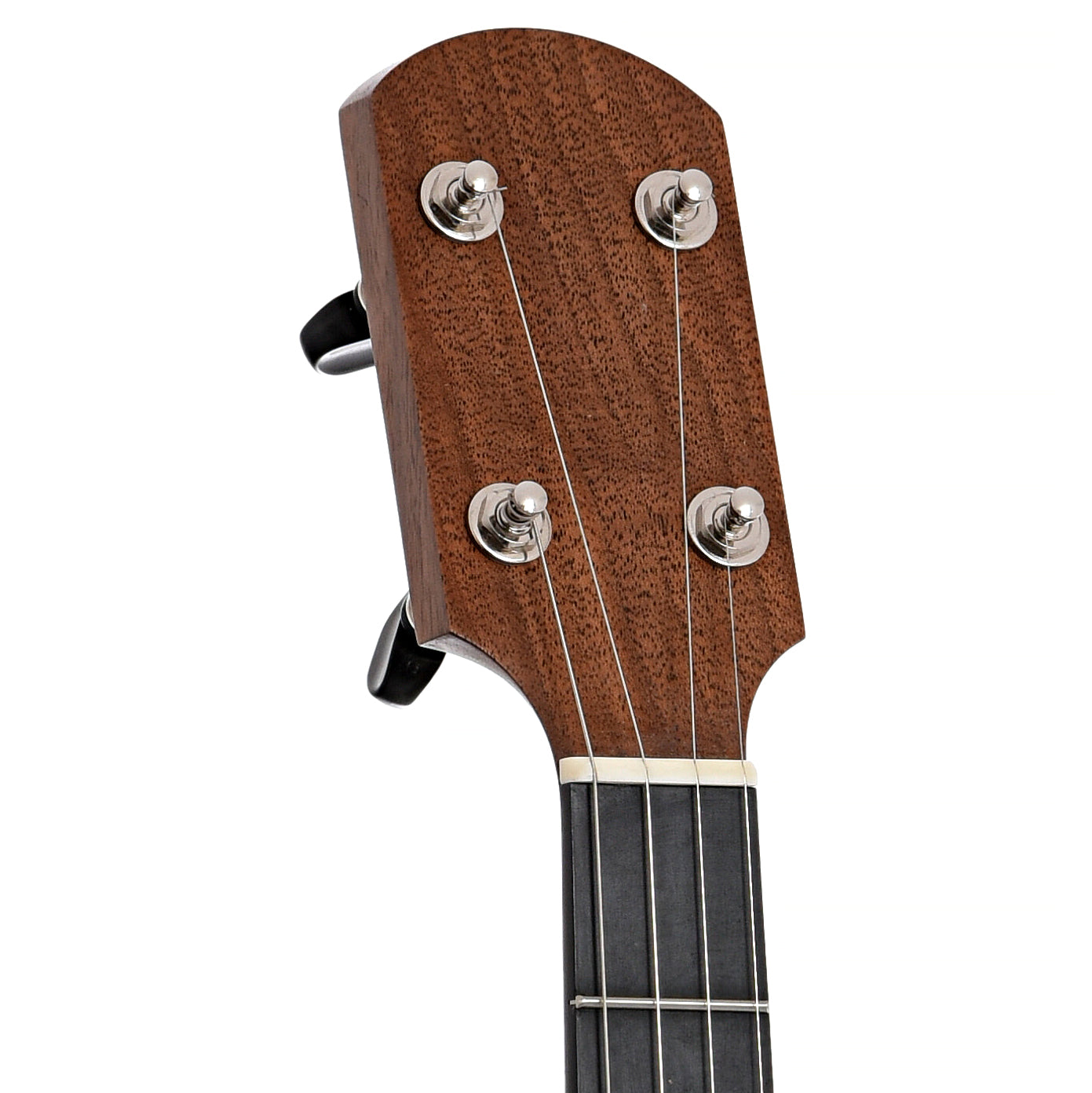 Front headstock of Kevin Enoch 11" Tradesman, Walnut Neck & Rim