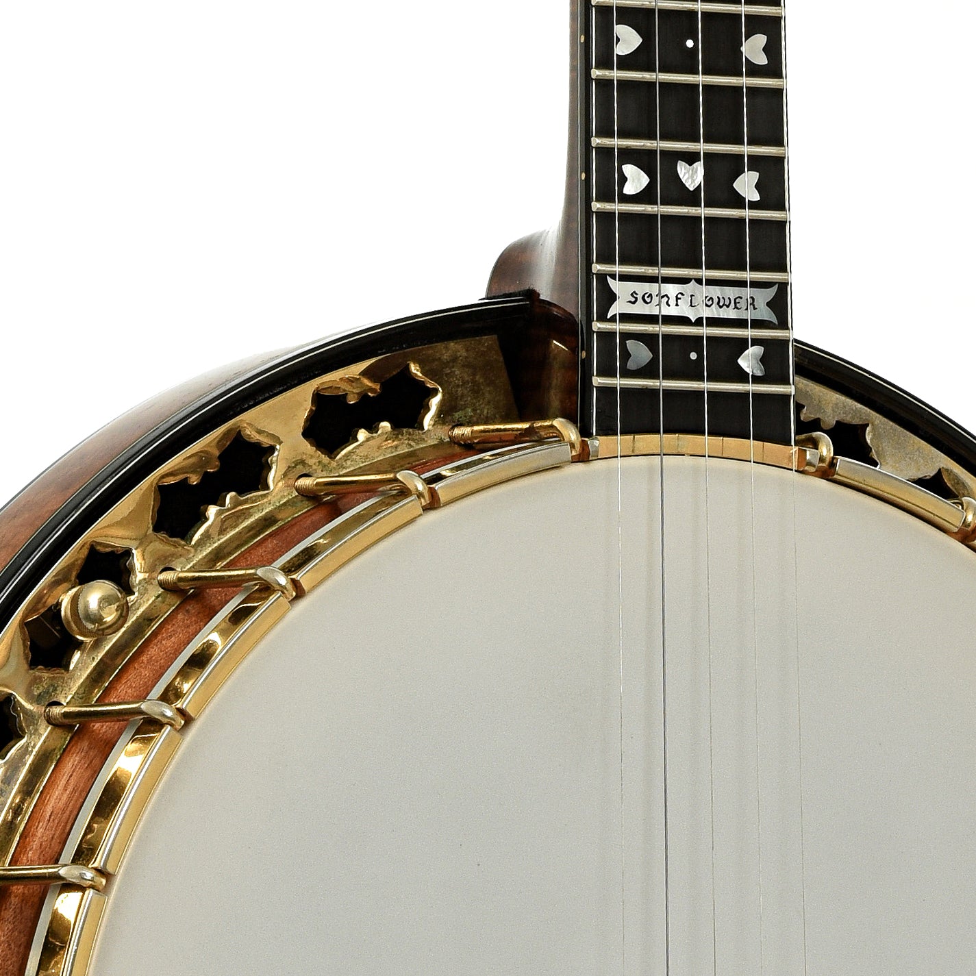 Neck joint of Stelling Sonny Osborne Sonflower Prototype Banjo