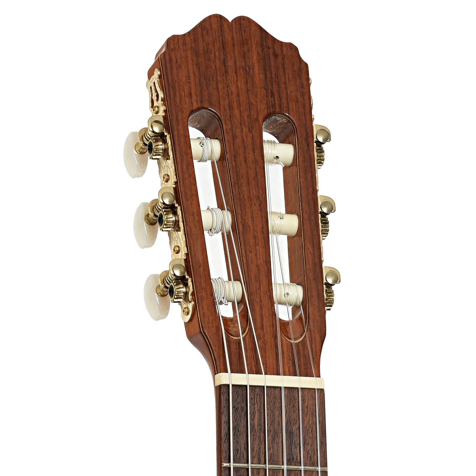 Headstock of Takamine C134S Classical Guitar 