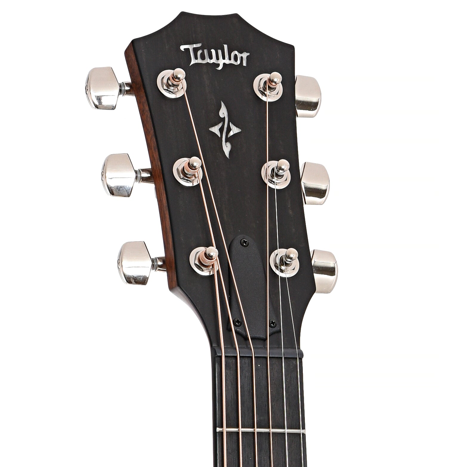 Front headstock of Taylor 412ce Acoustic 