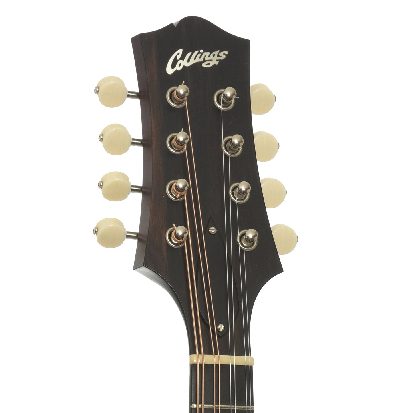 Headstock of Collings MT-O