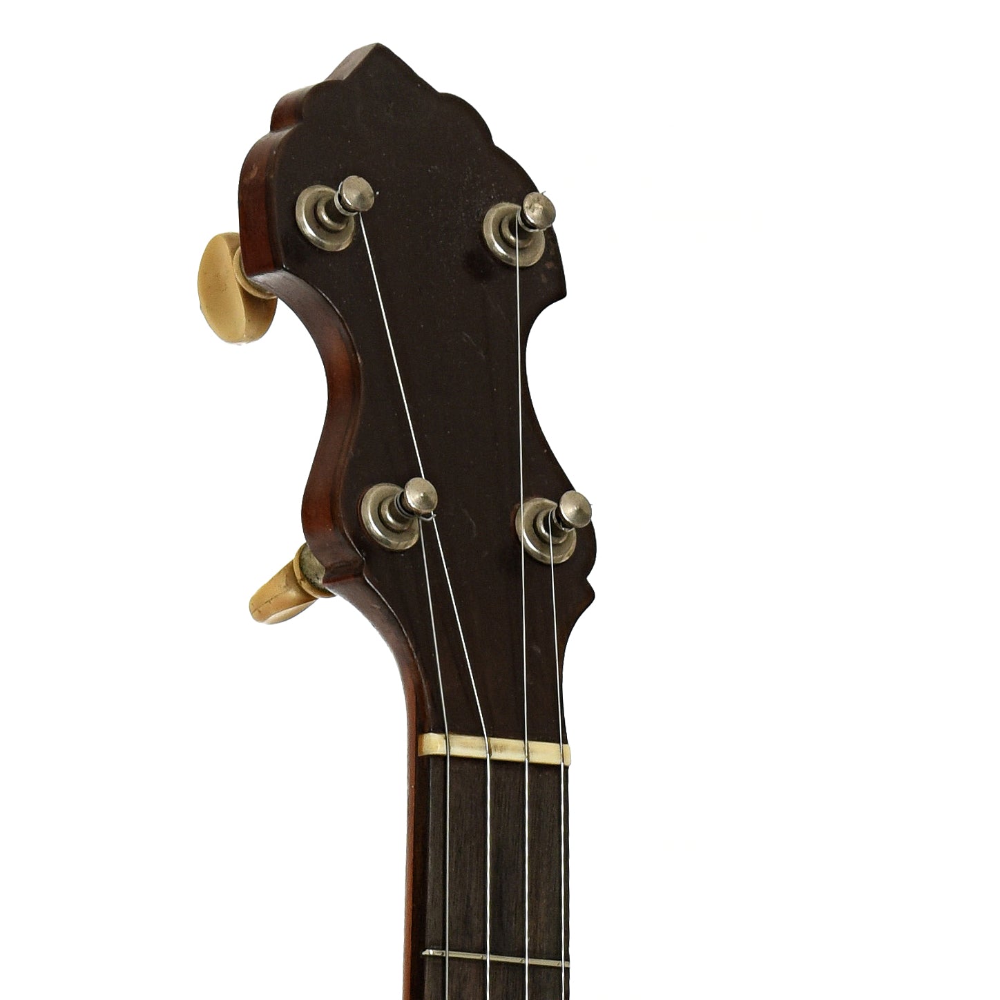 Headstock of Vega Senator 5-String Banjo