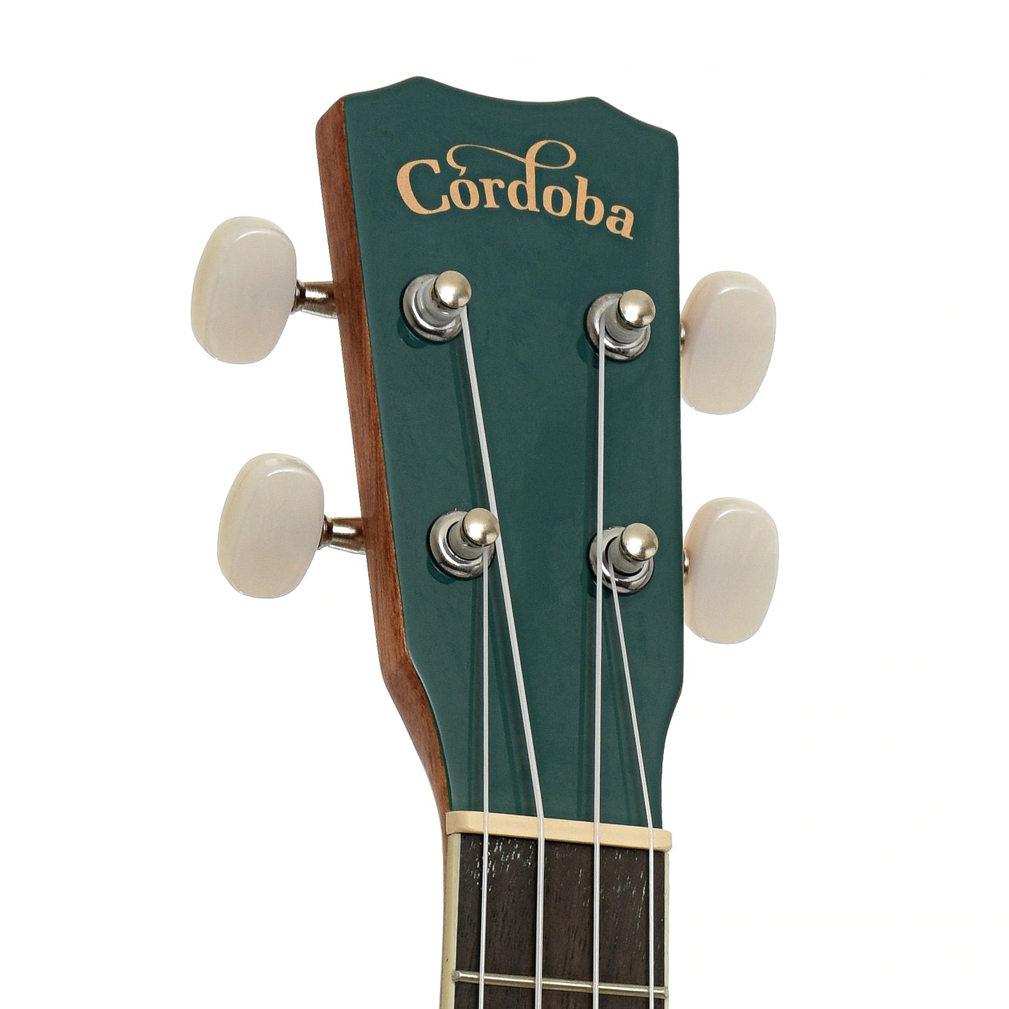 Headstock of Cordoba 15C Concert Ukulele, Catalonia Green