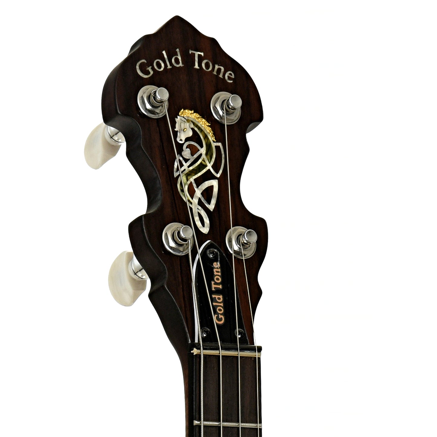 Headstock of Gold Tone Irish Tenor Banjo 
